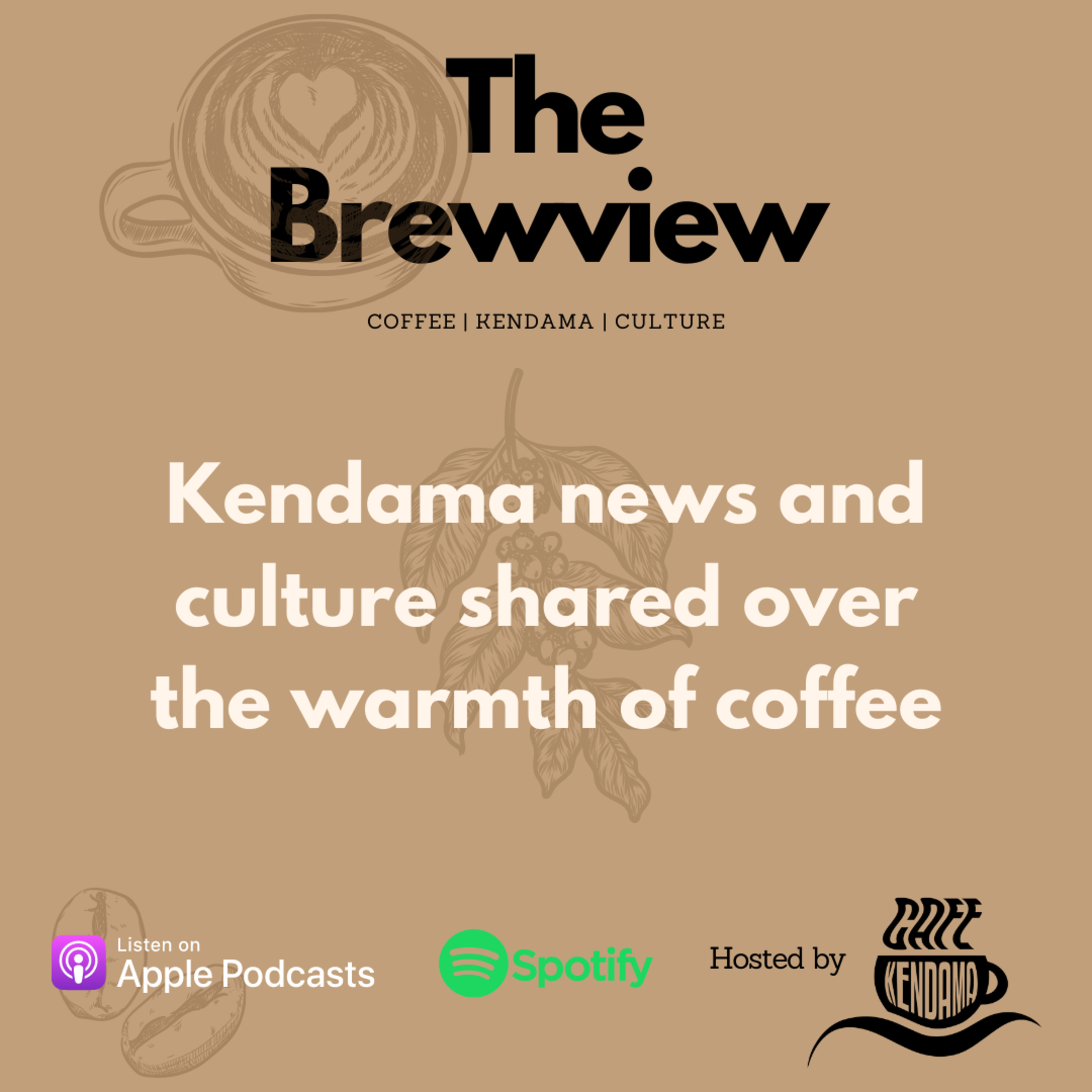 The Brewview: Coffee, Kendama, Culture