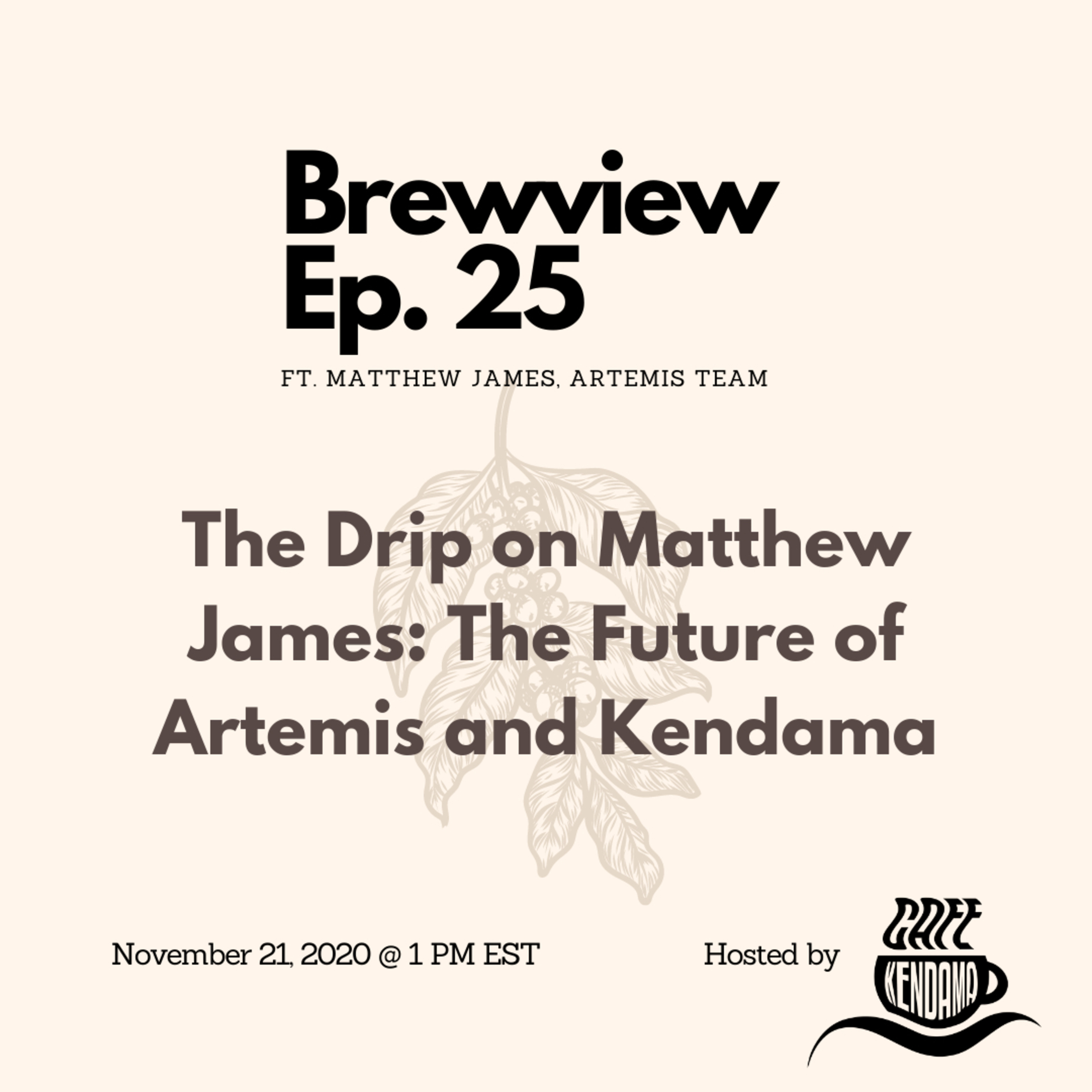 The Brewview: Coffee, Kendama, Culture