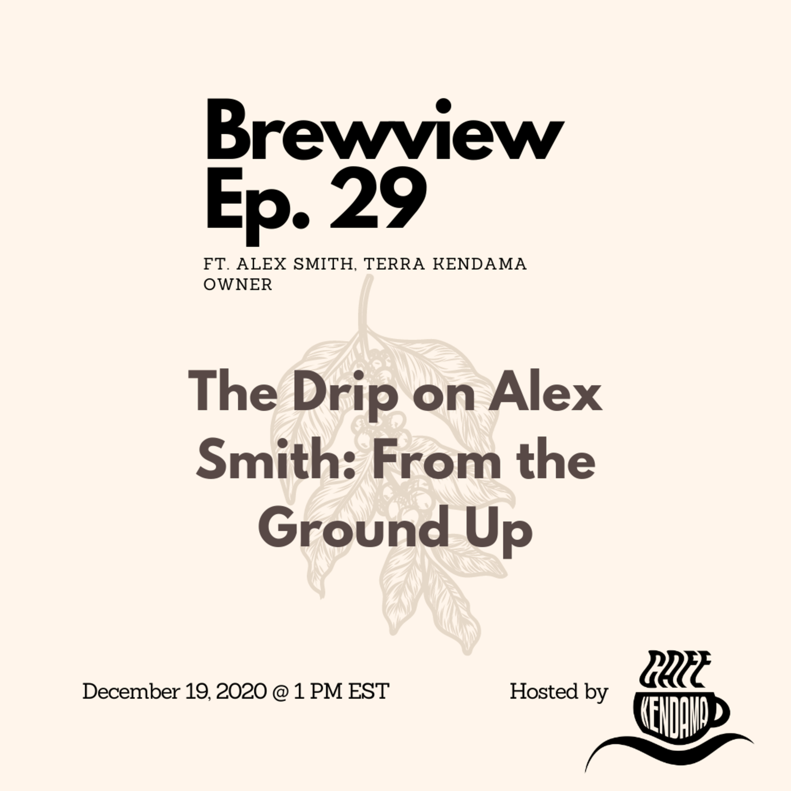 The Brewview: Coffee, Kendama, Culture