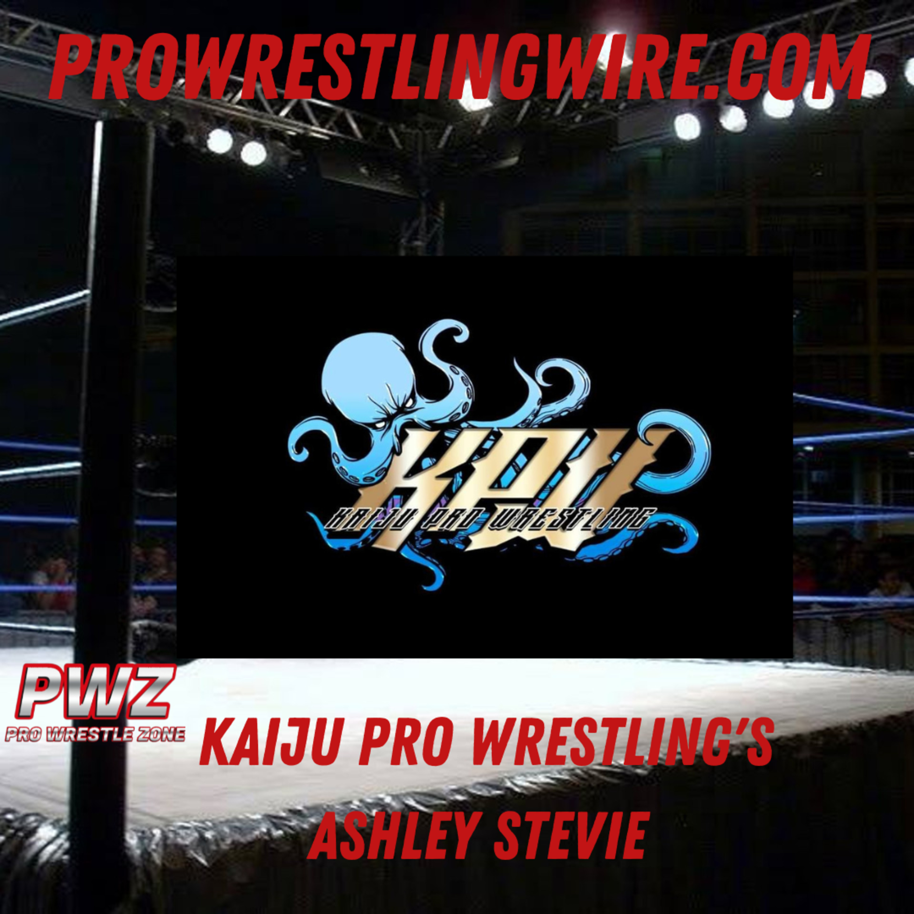 The Pro Wrestling Wire