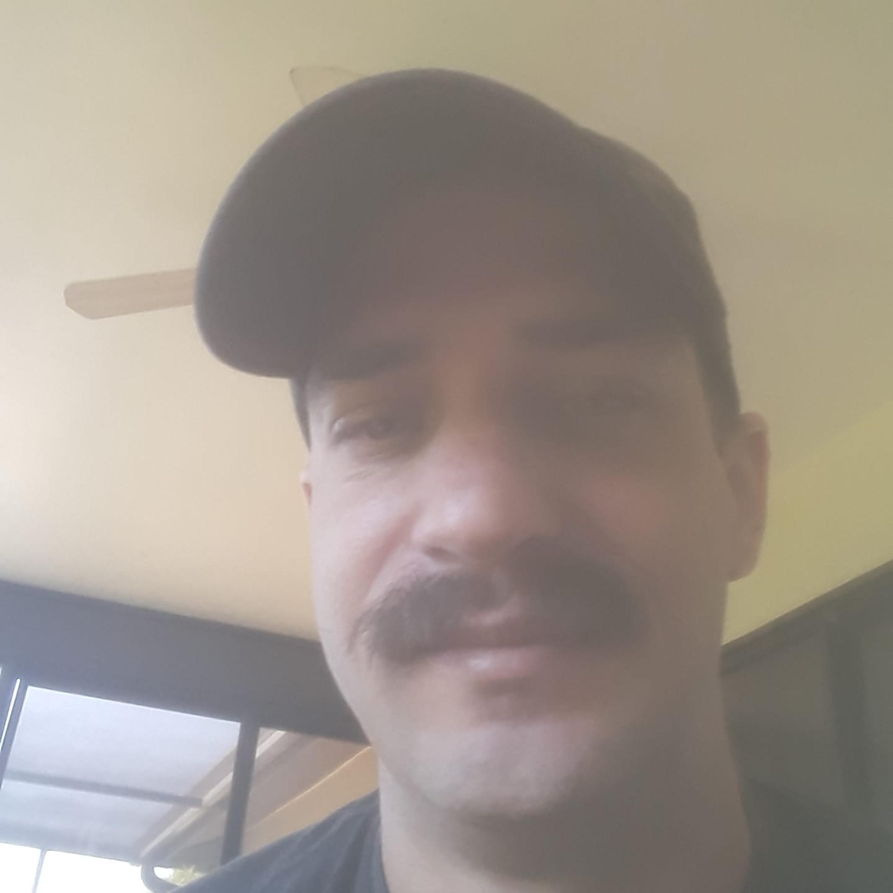 RobbShow