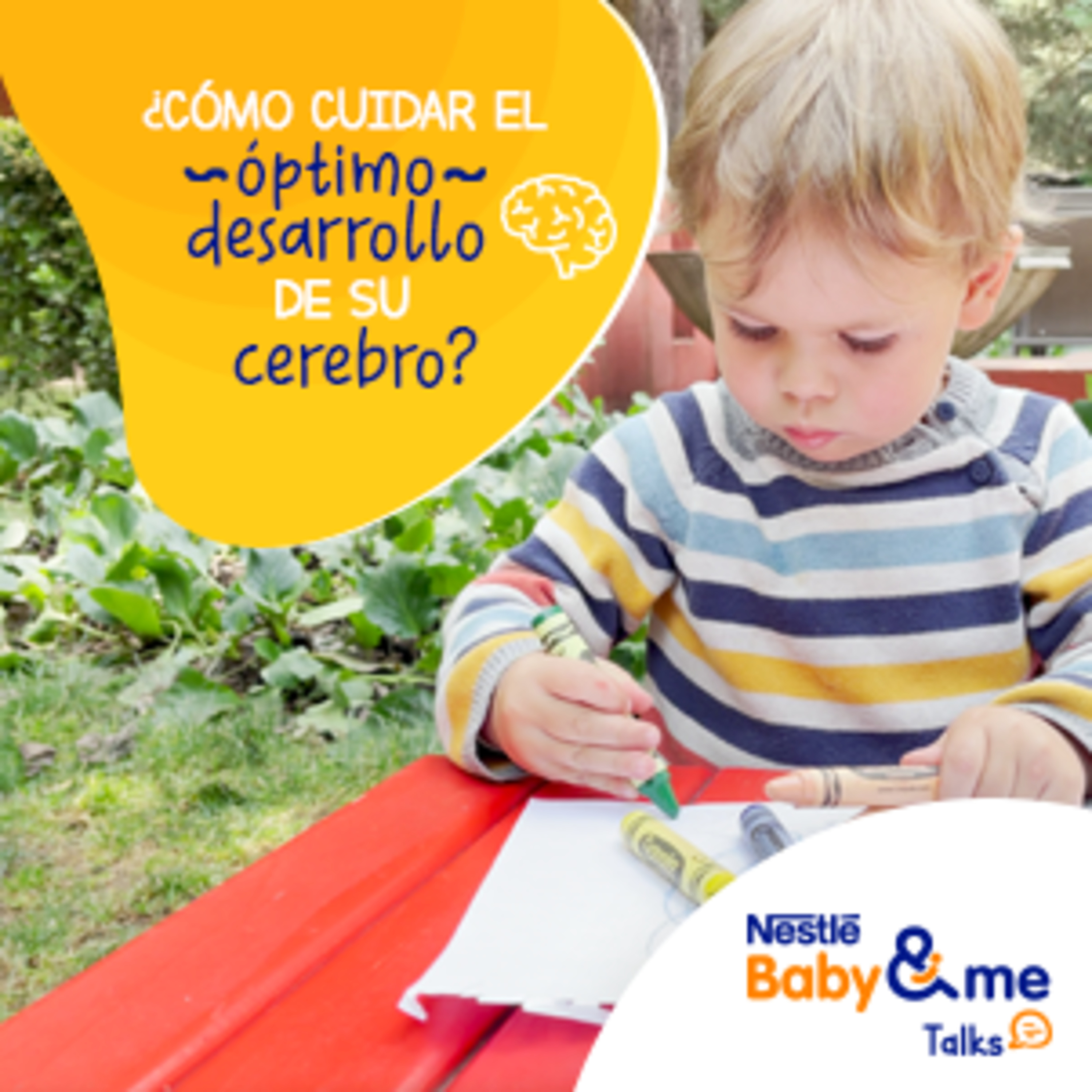 ALIMENTOS PARA EL CEREBRO | ¿Cómo cuidar el optimo desarrollo del cerebro de mi pequeño?.