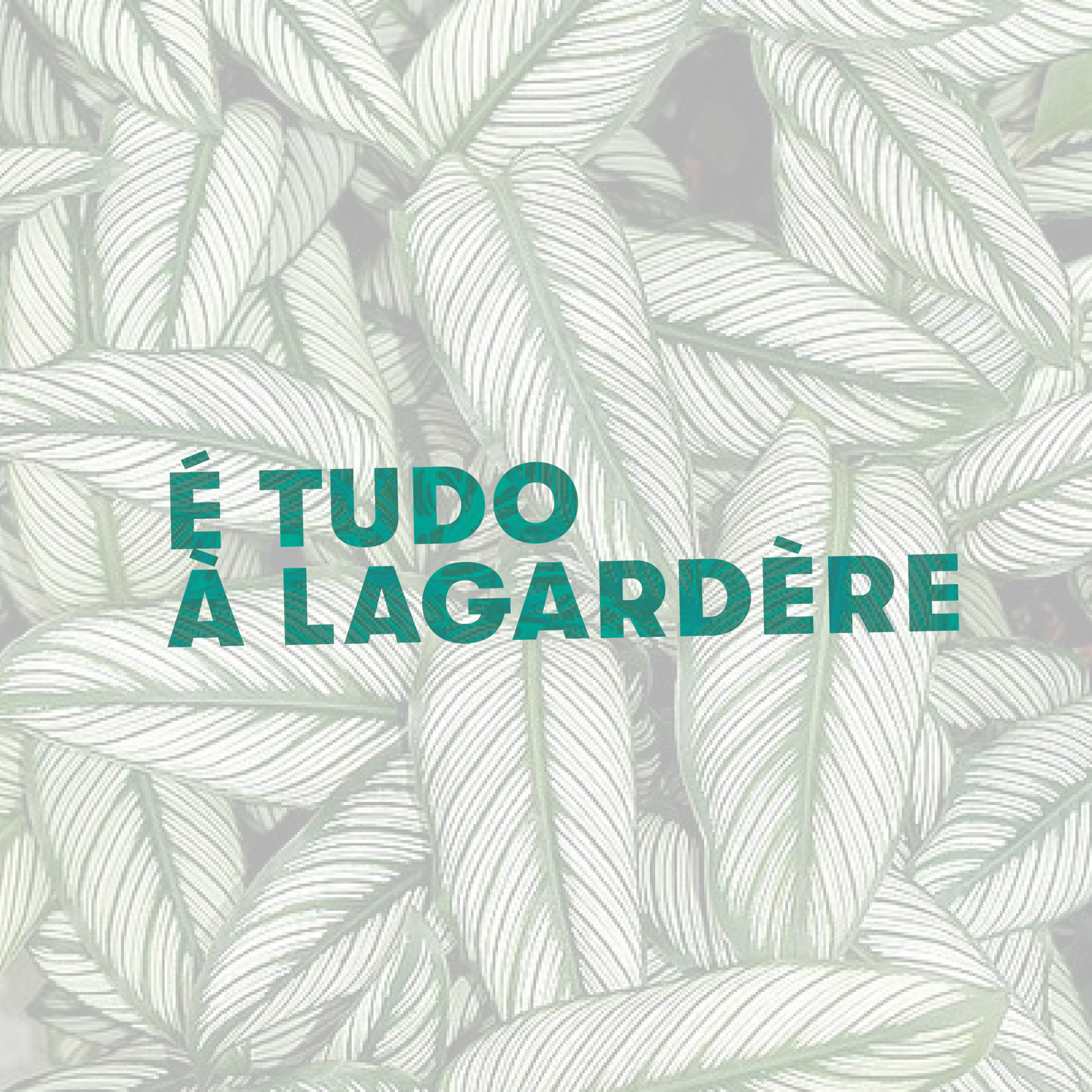 É tudo à Lagardère - "Há aí um pássaro no pedaço!" episode artwork