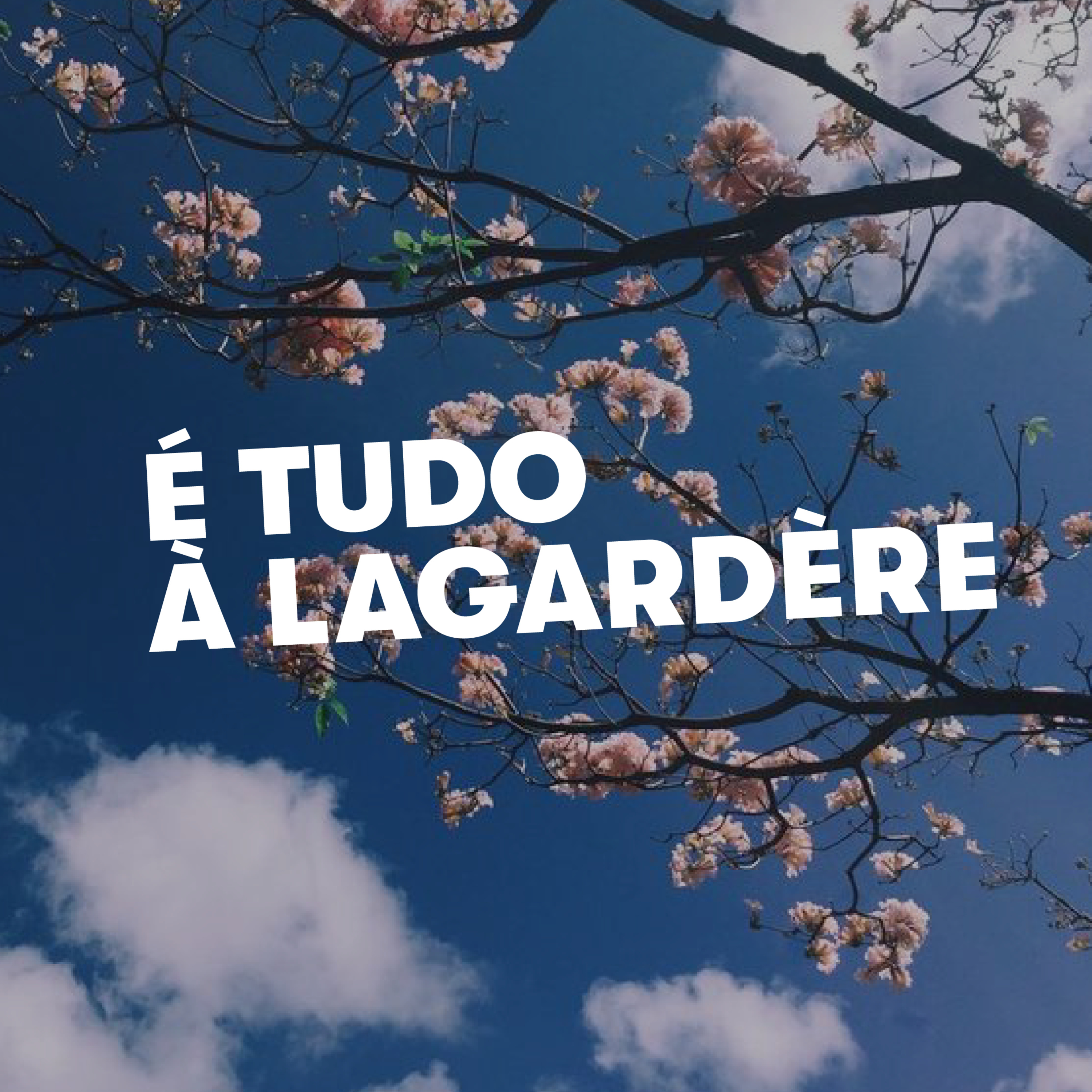 É tudo à Lagardère - "O teu gato anda a cagar na sanita." episode artwork