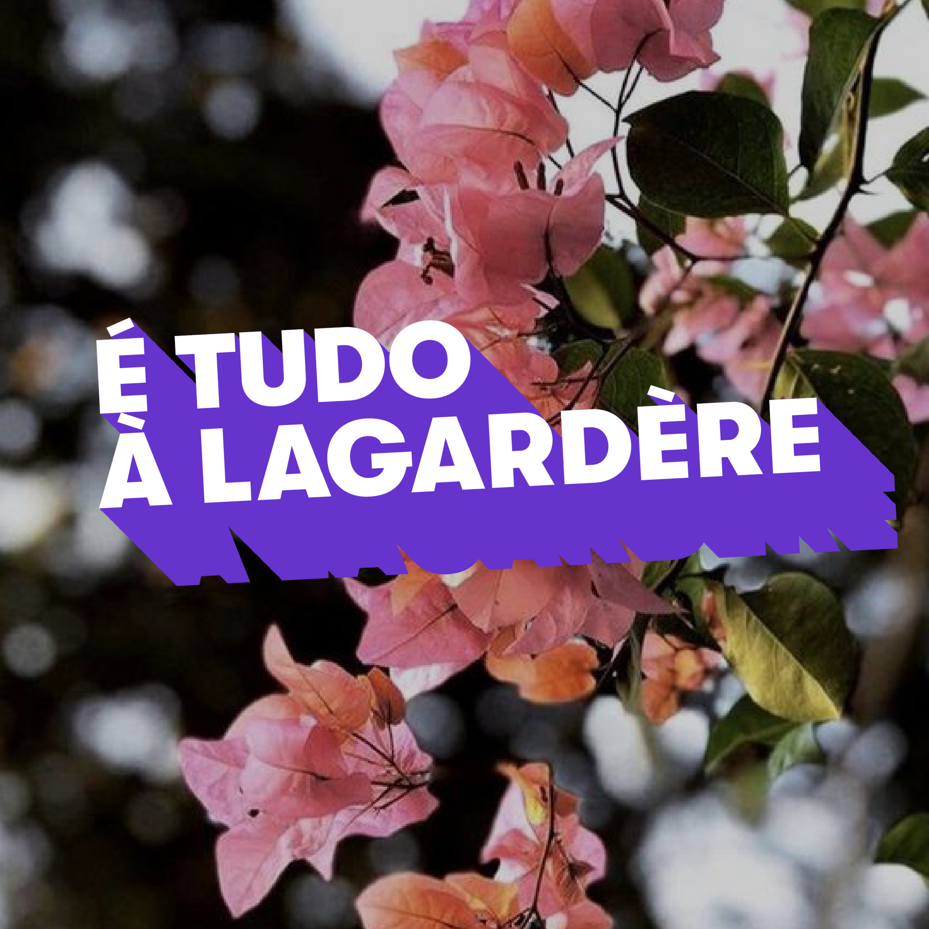 É tudo à Lagardère - "O gajo fez uma puxada de gás para dentro de casa da sogra!" episode artwork