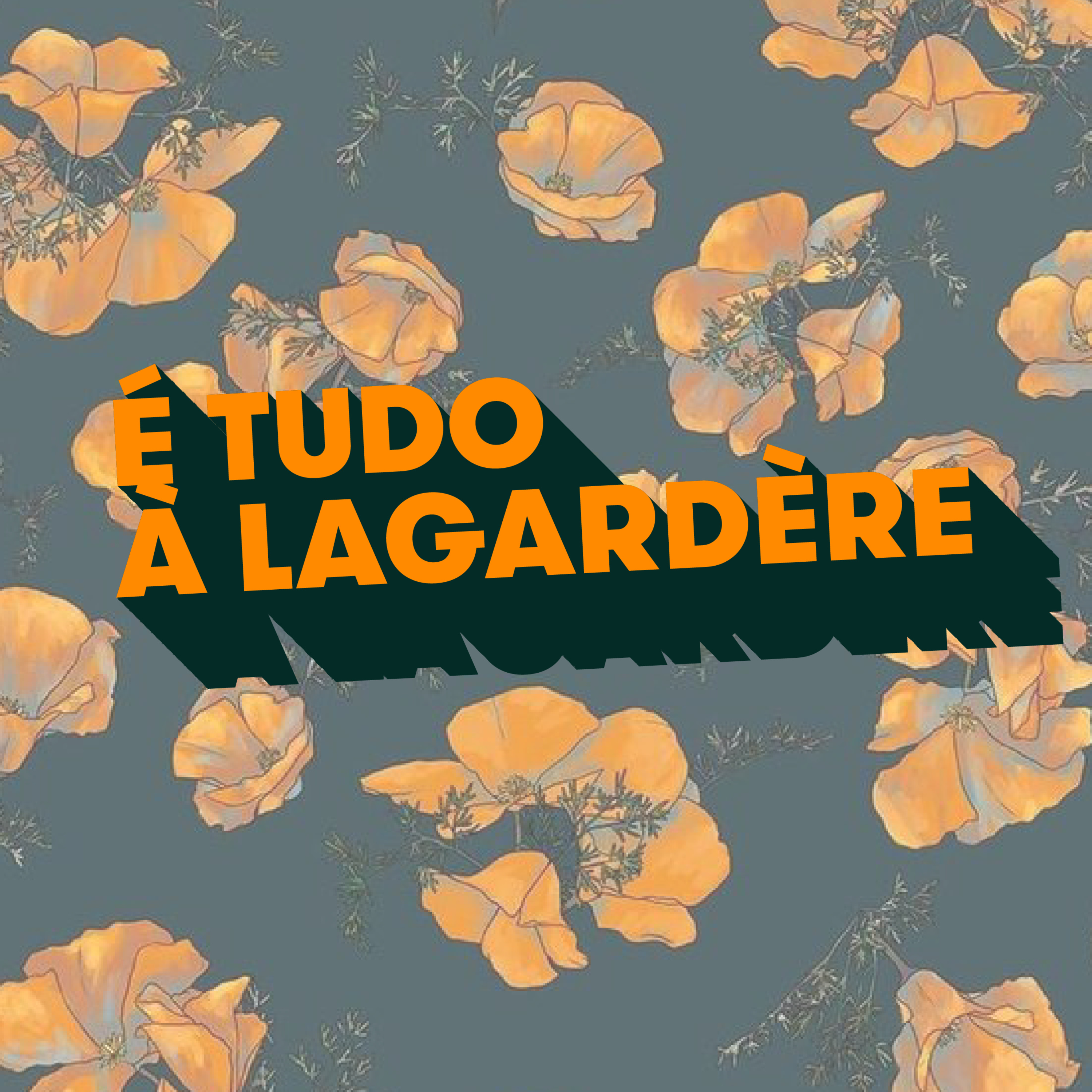 "As ovelhas afogam-se porque ficam com a lã molhada" - É tudo à Lagardère