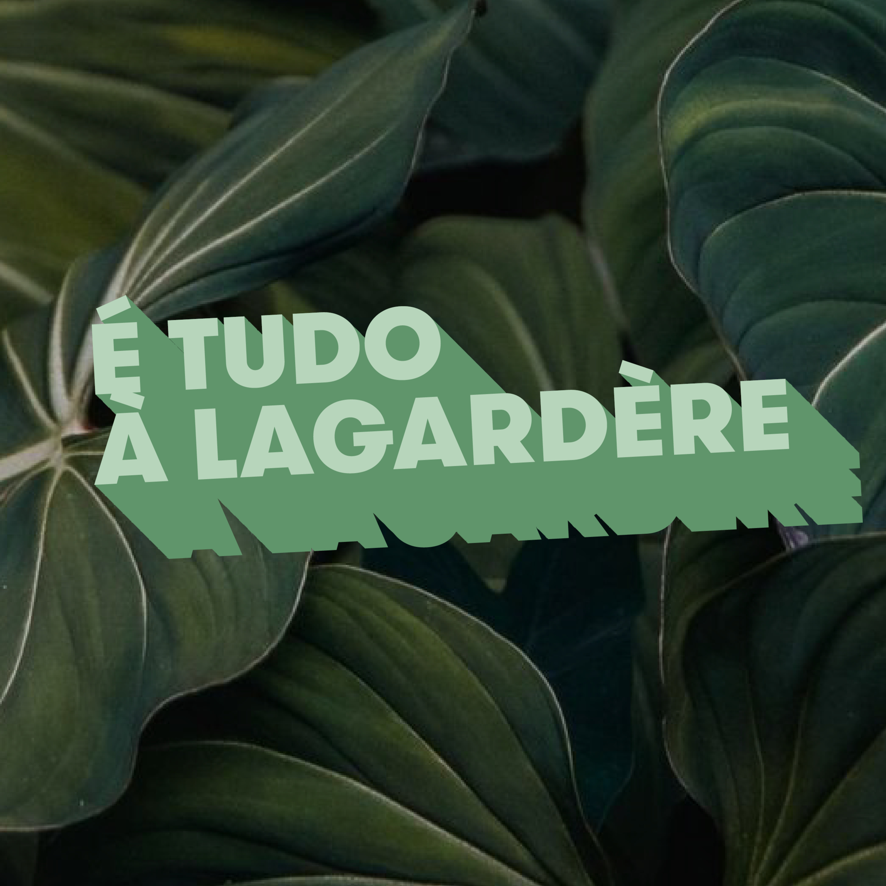 "As delicias do mar gostam muito de comer milho!" - É tudo à Lagardère episode artwork