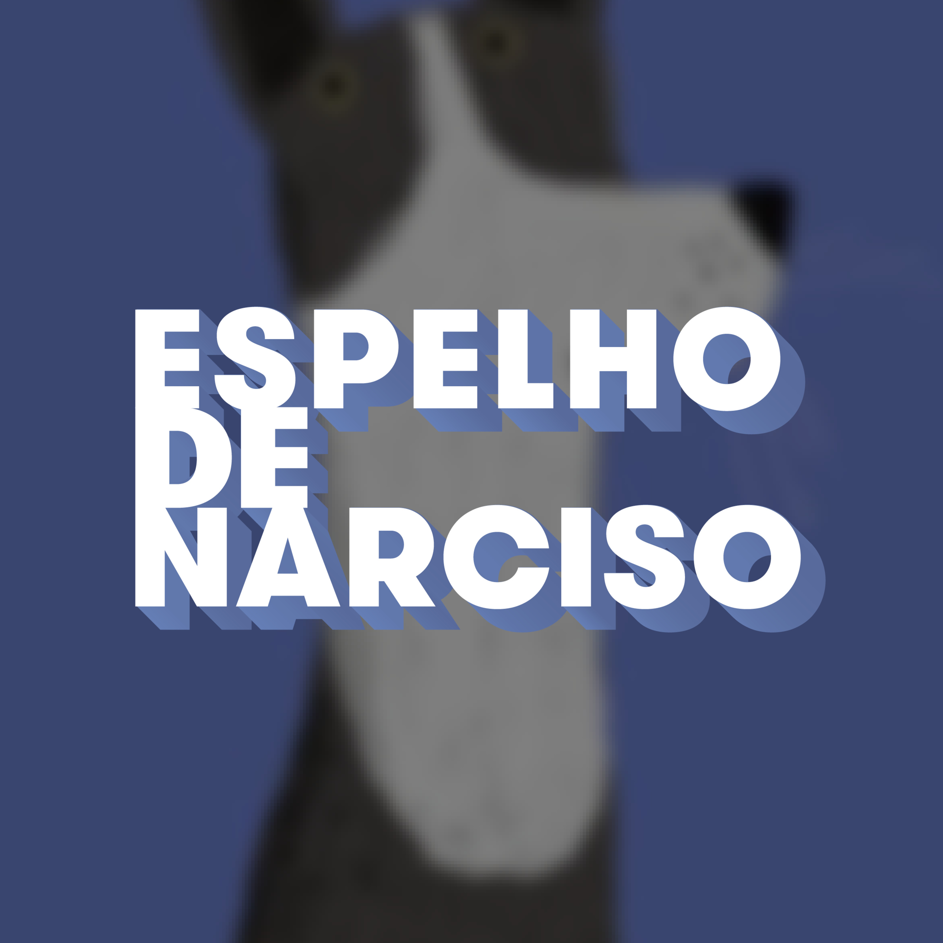 "O cão é que o levou por maus caminhos!" - Espelho de Narciso episode artwork