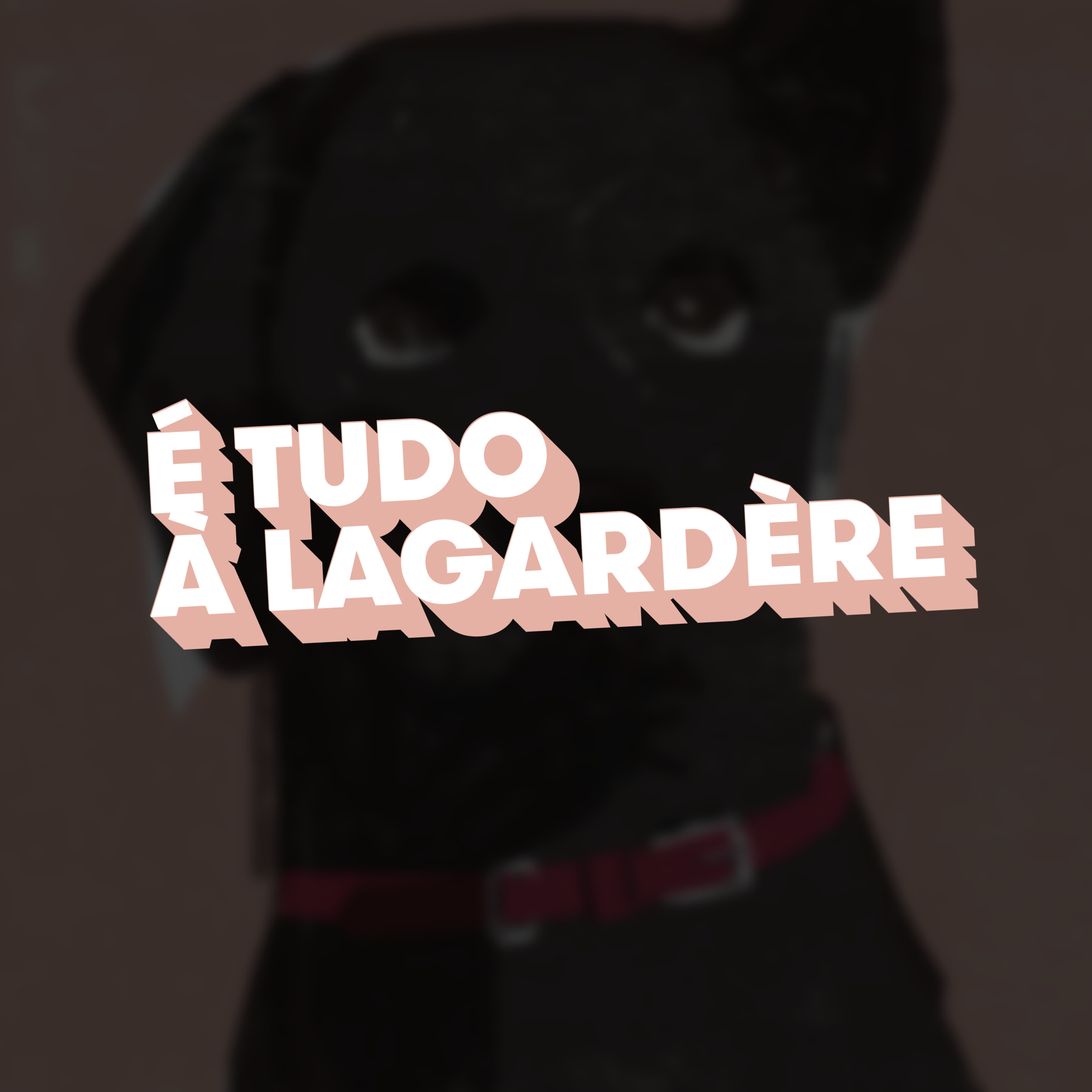 "Pode-se dizer que ela tem uma vida de cão" - É tudo à Lagardère