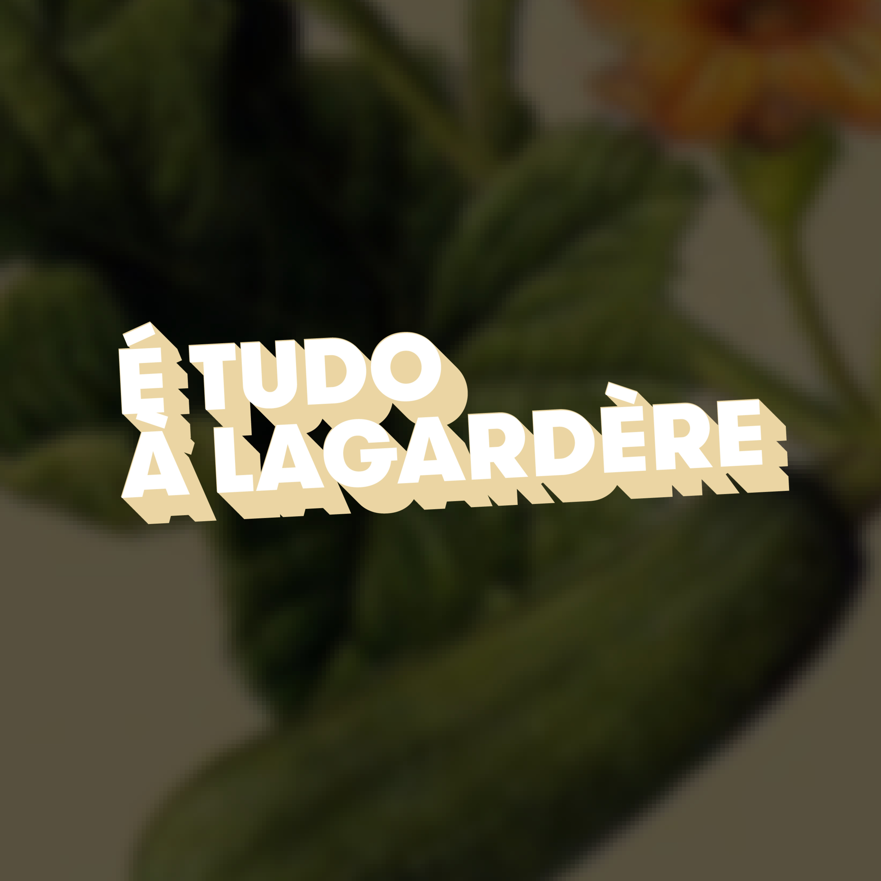 "Então não viste lá a courgette também?" - É tudo à Lagardère