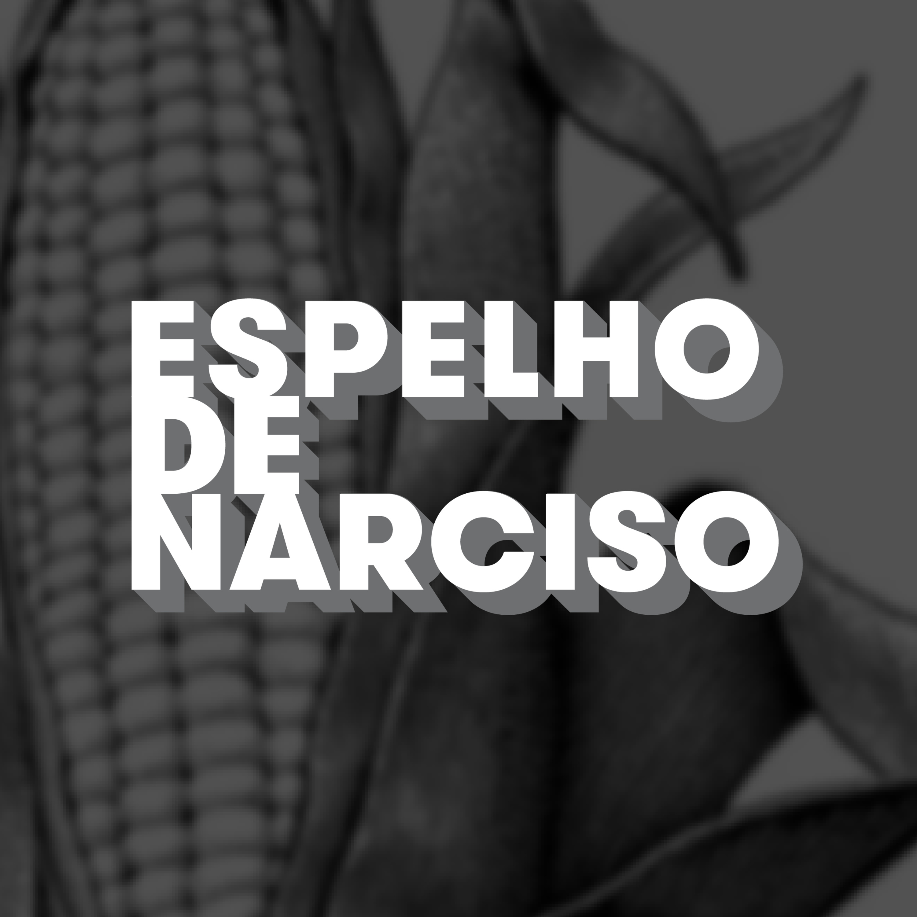 "A Pioneer das sementes é a mesma Pioneer do equipamento de som?" - Espelho de Narciso