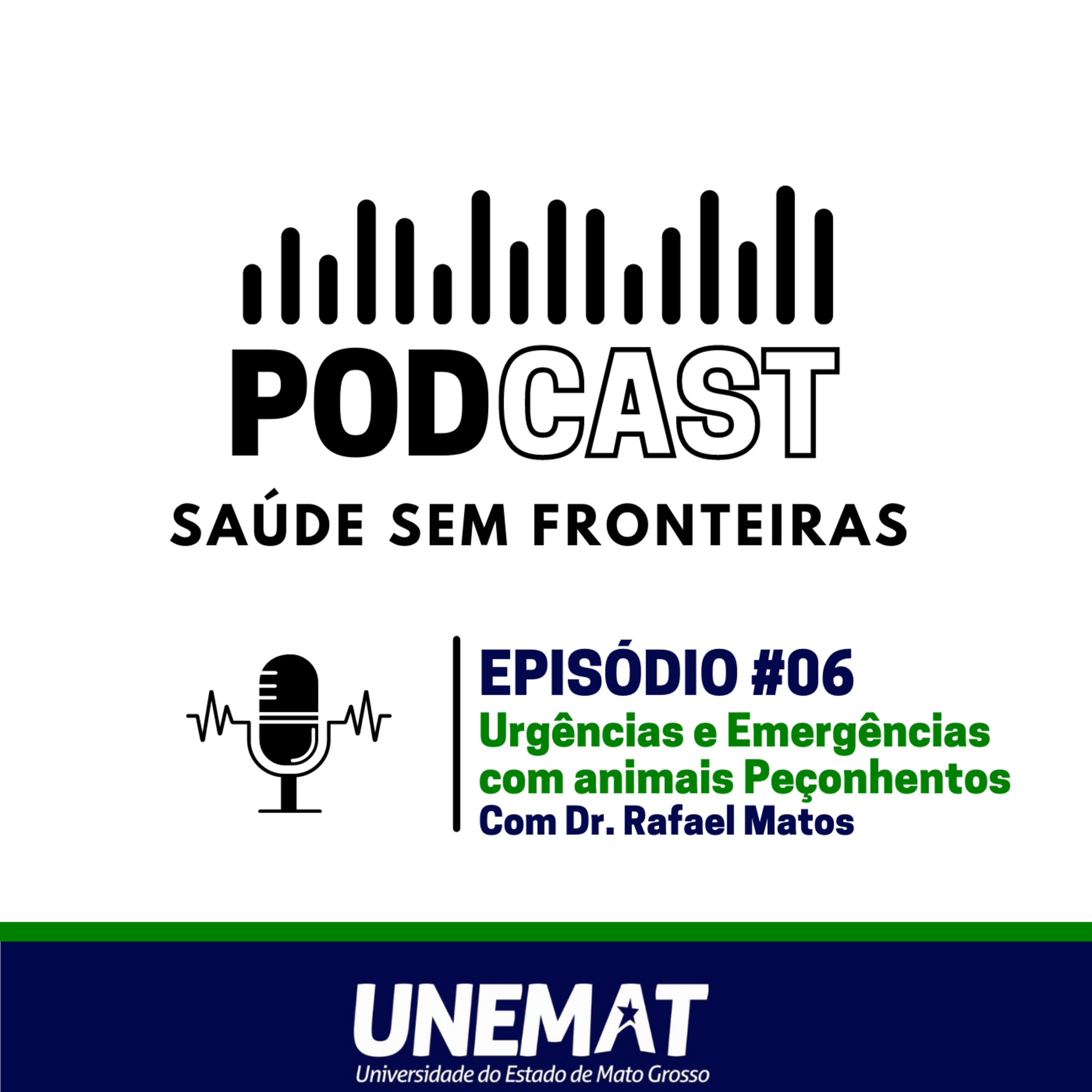 Saúde Sem Fronteiras