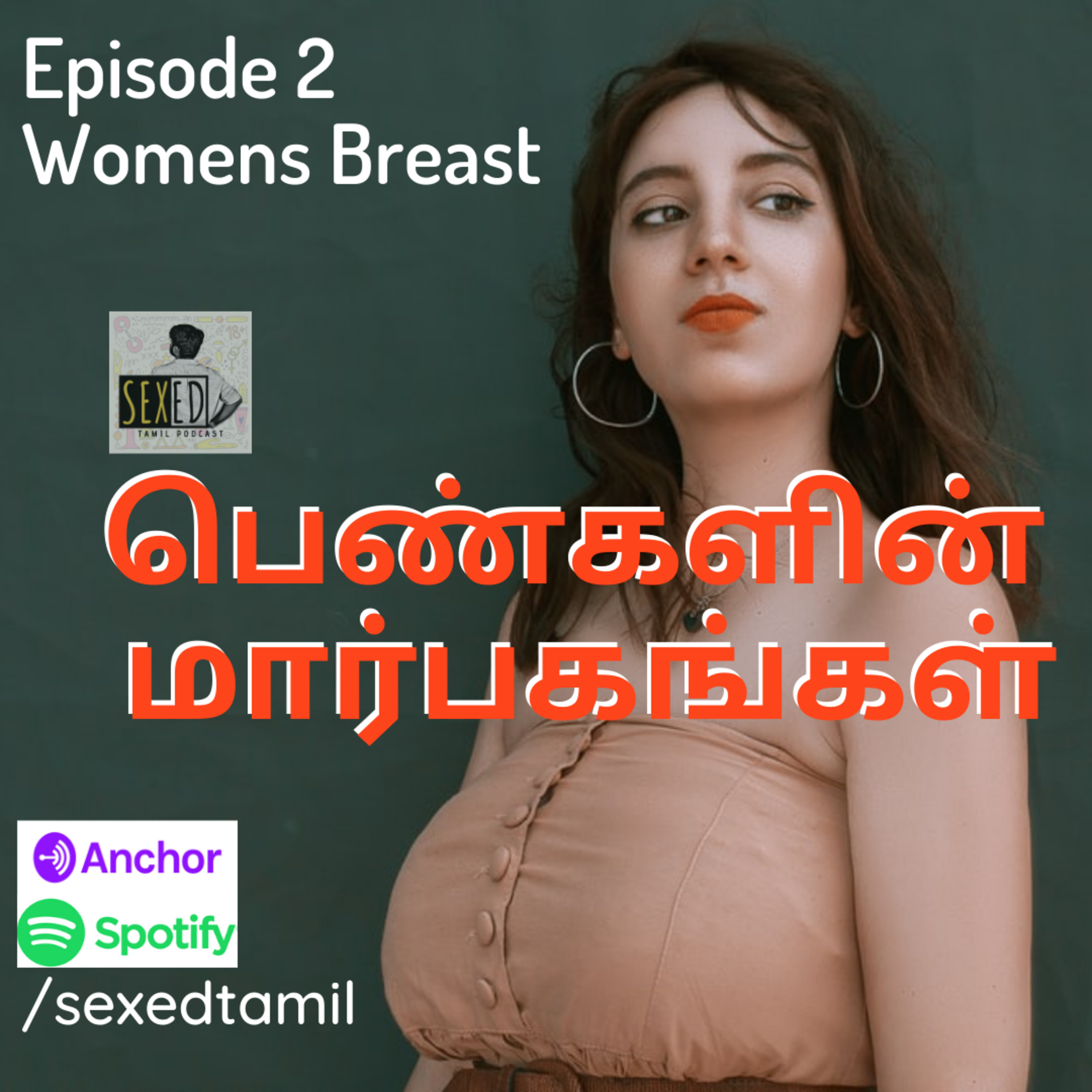 2. பெண்களின்  மார்பகங்கள் | Womens Breast