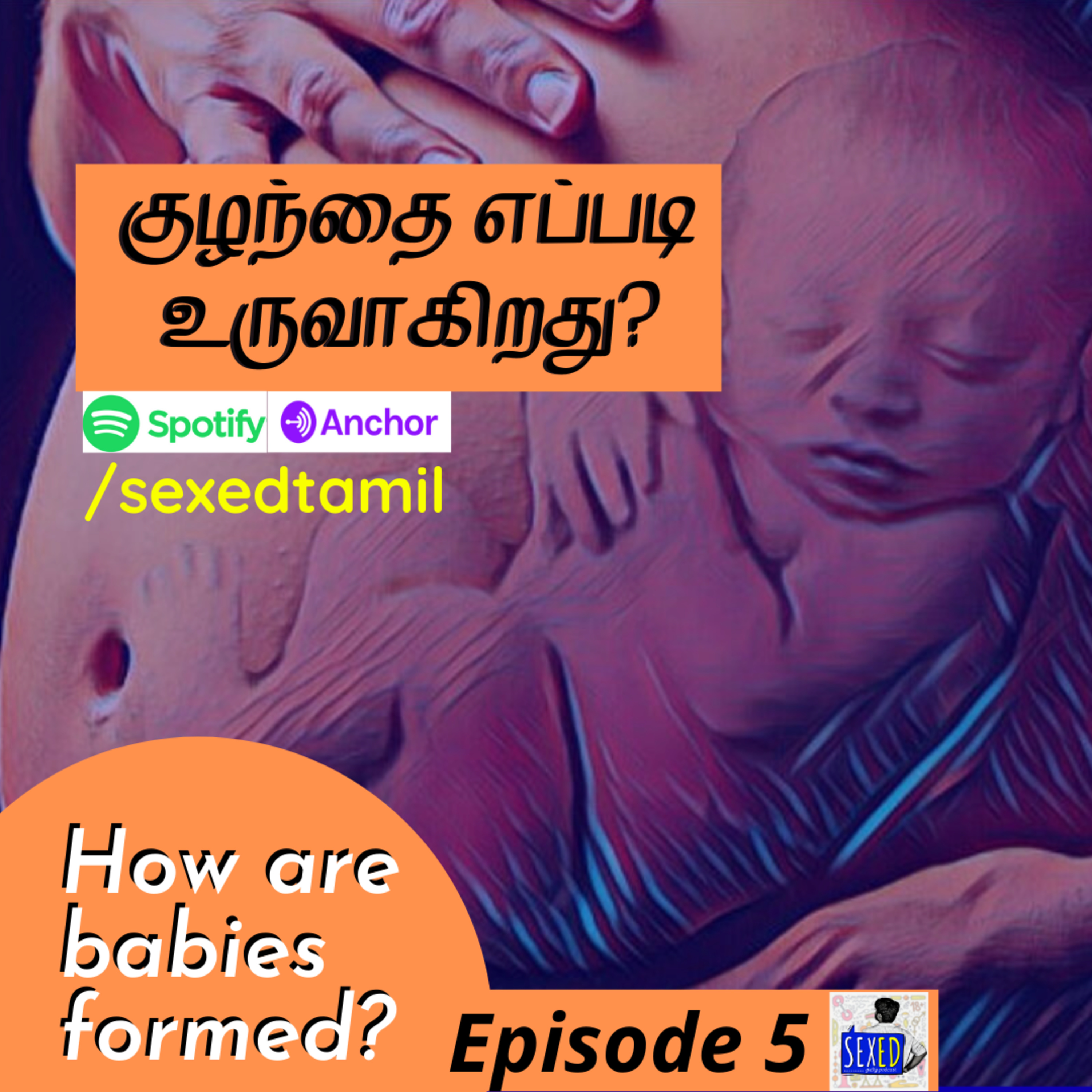 5. How are Babies Formed? குழந்தைகள் எப்படி உருவாகின்றன?