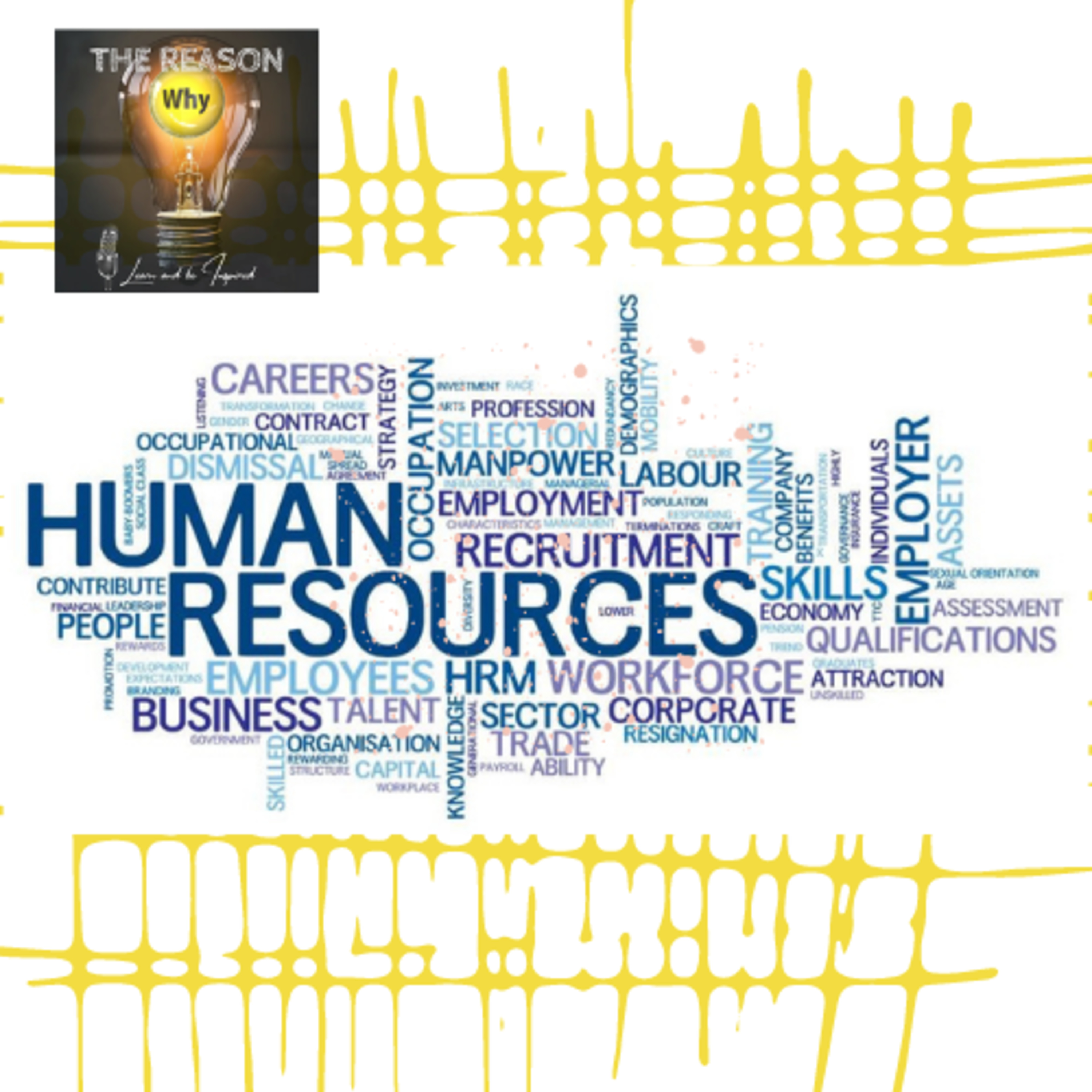 #04 - The Why of an HR Analyst
