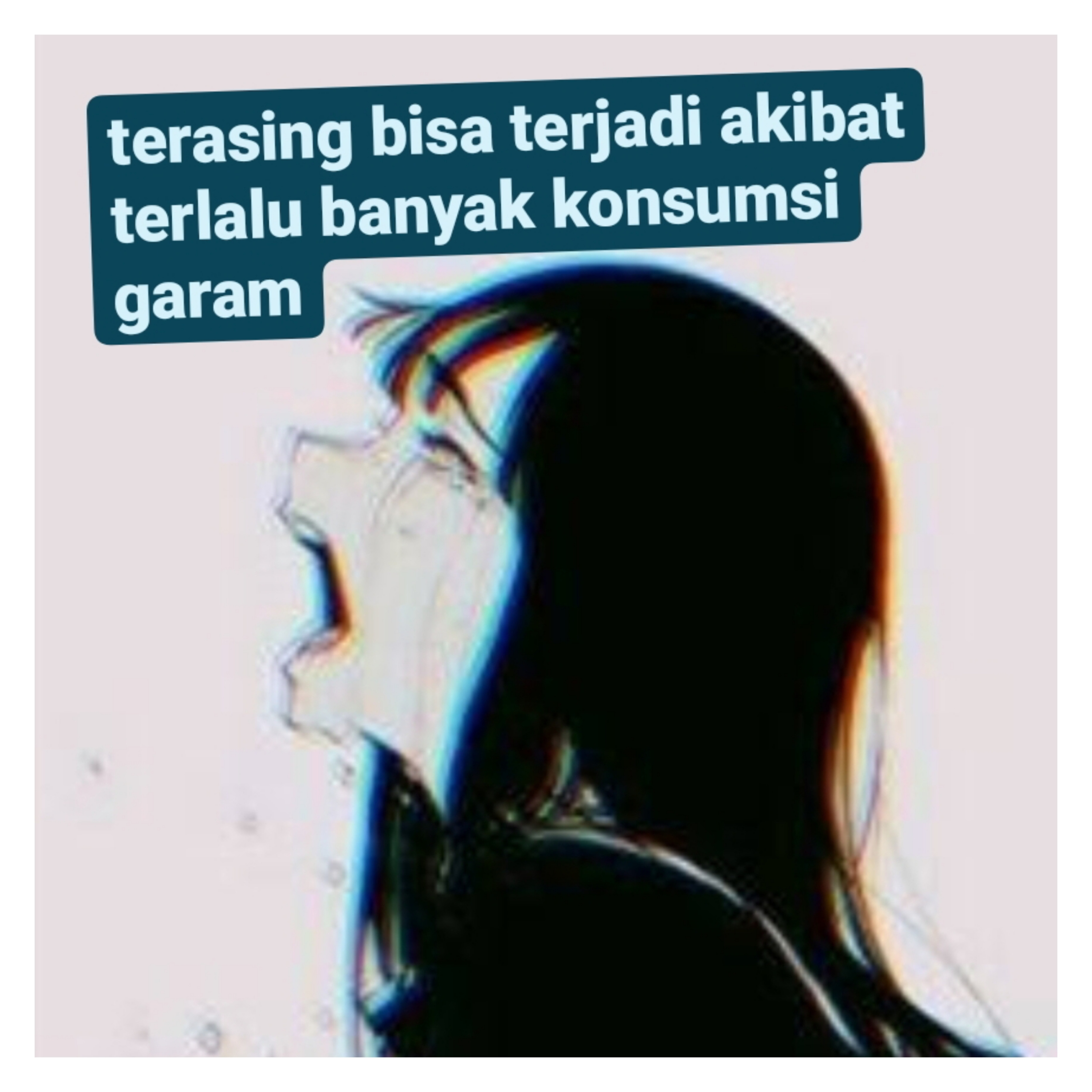 WartaRasa