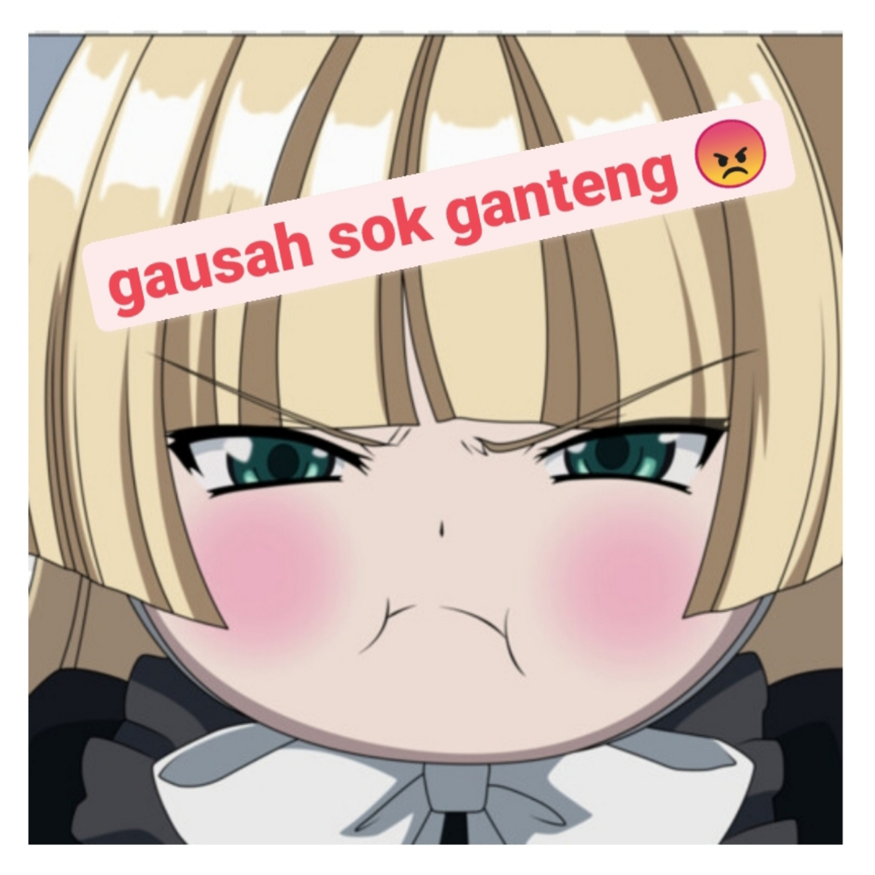 WartaRasa