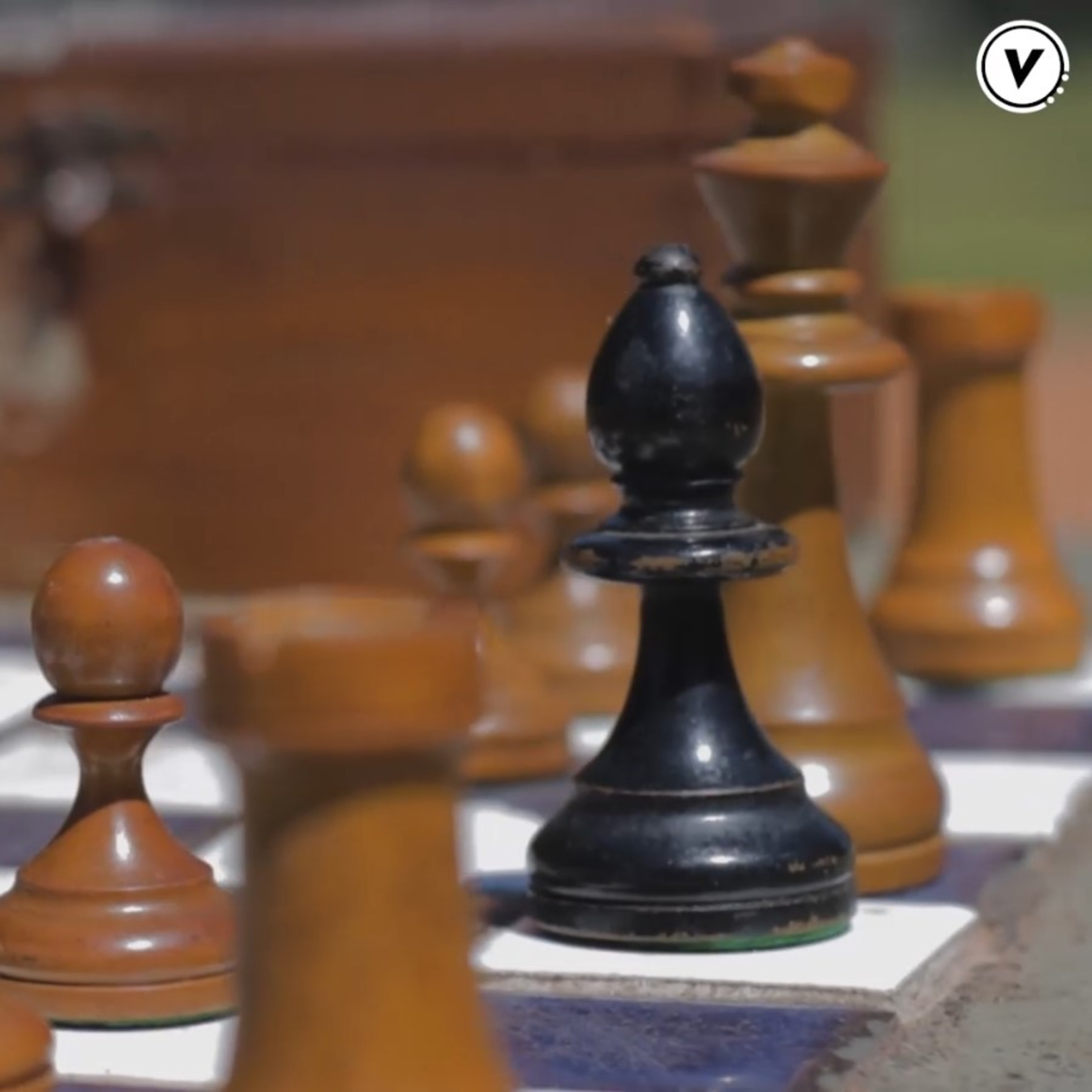 Haroldo Conti Cte.Colectivo de trabajadoras y trabajadores de la Educación Haroldo Conti en Ademys.