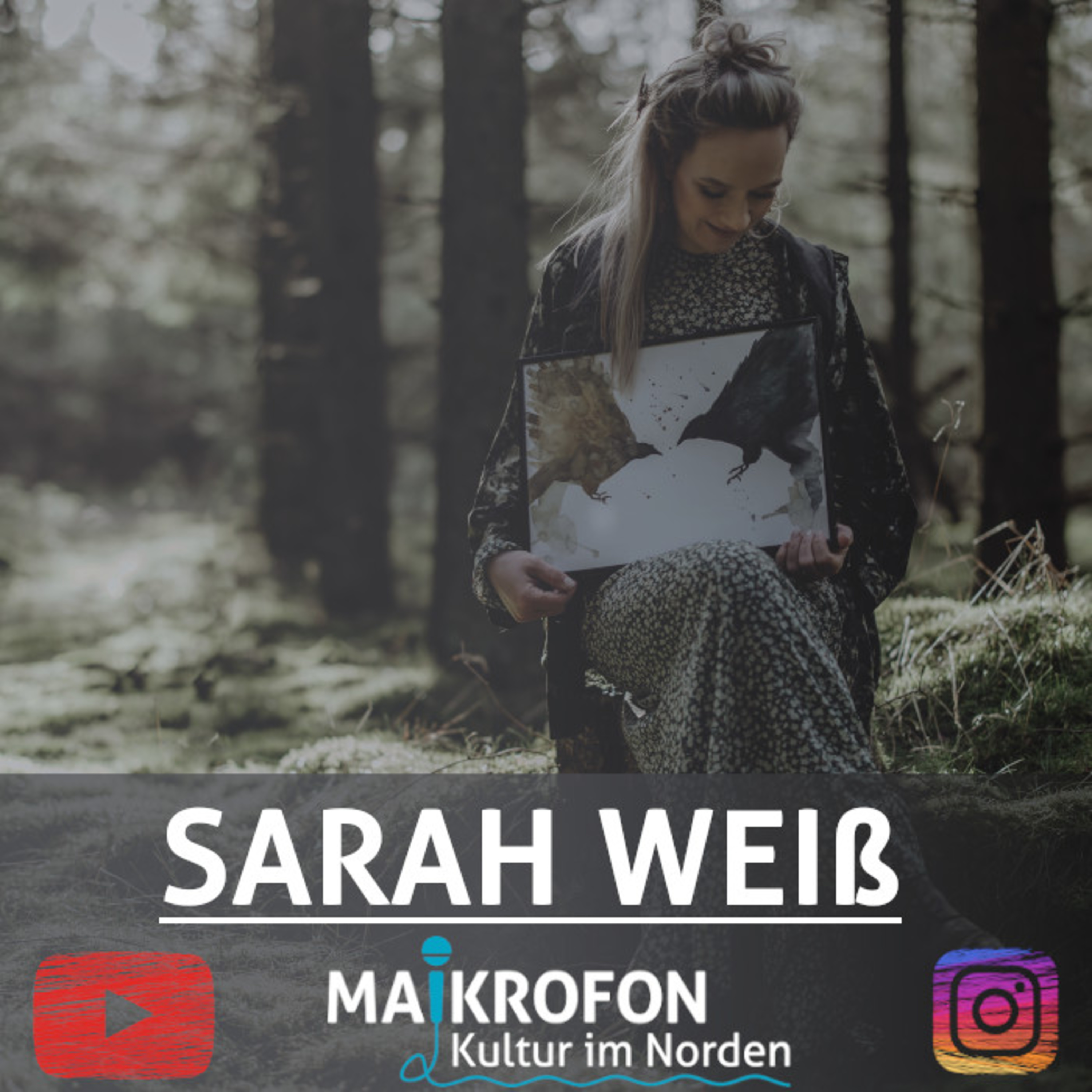 Maikrofon - Kultur im Norden