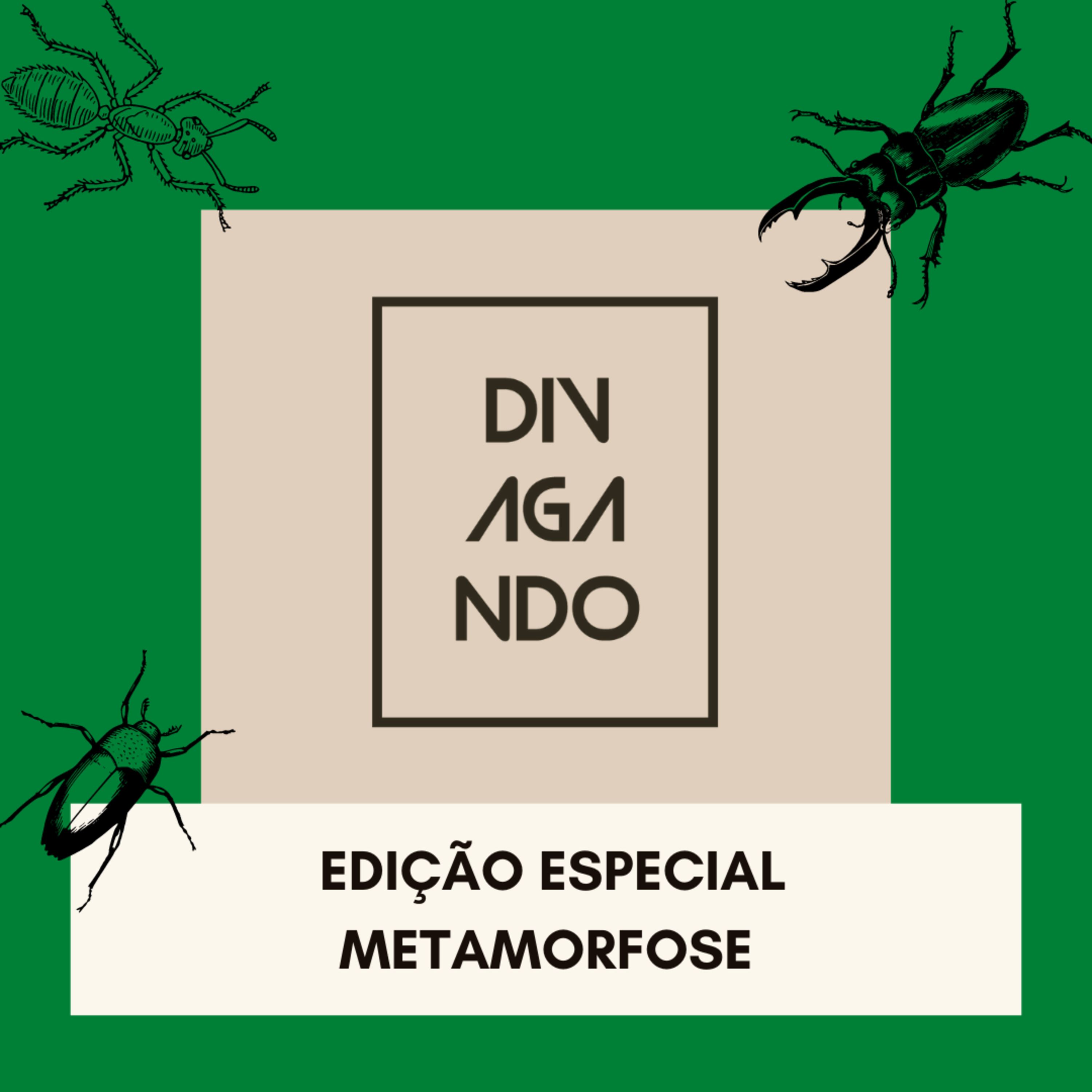 Divagando