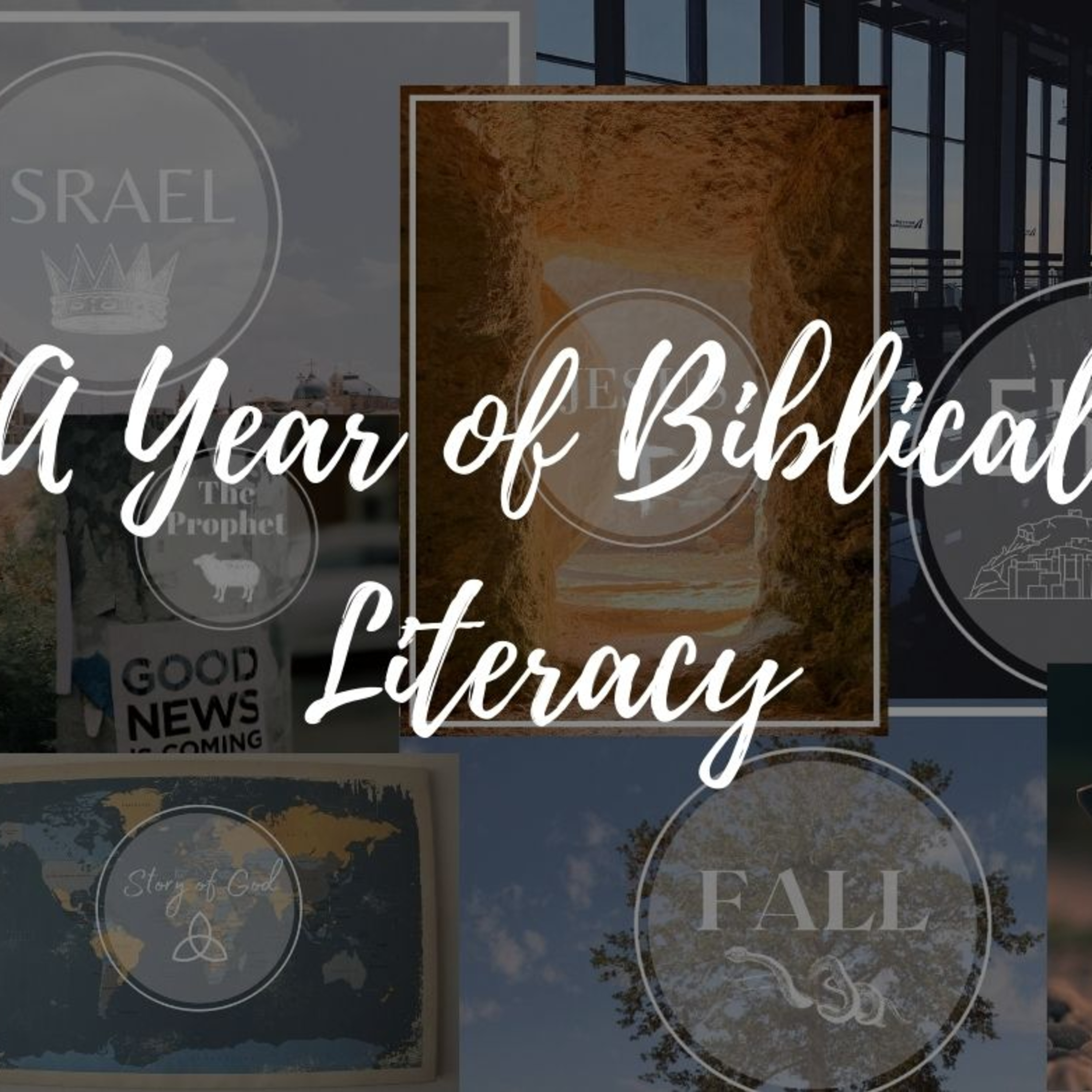 Kingdom || A Year of Biblical Literacy episode artwork