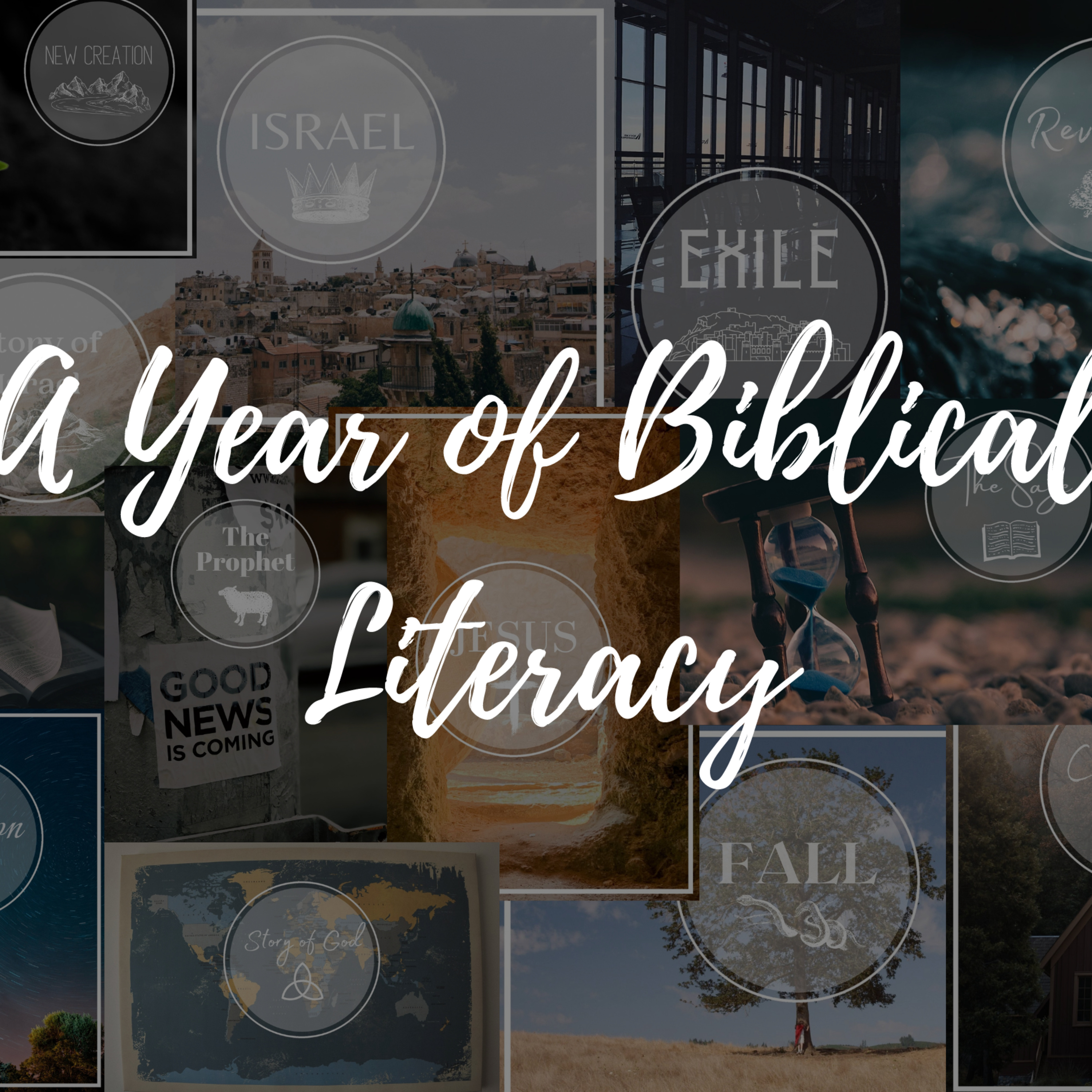Reading the Gospels || A Year of Biblical Literacy episode artwork