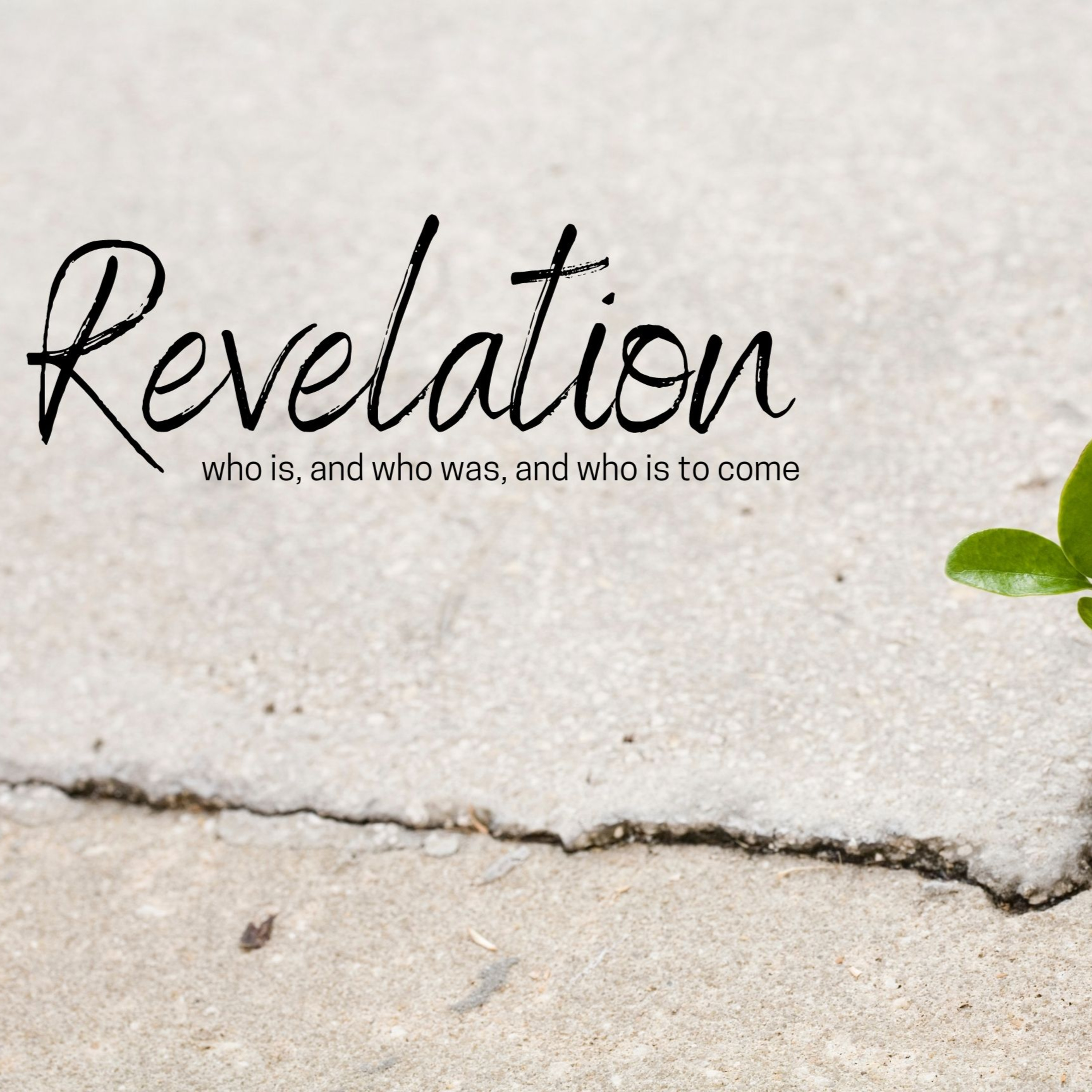 Introuduction-Genre || Revelation episode artwork