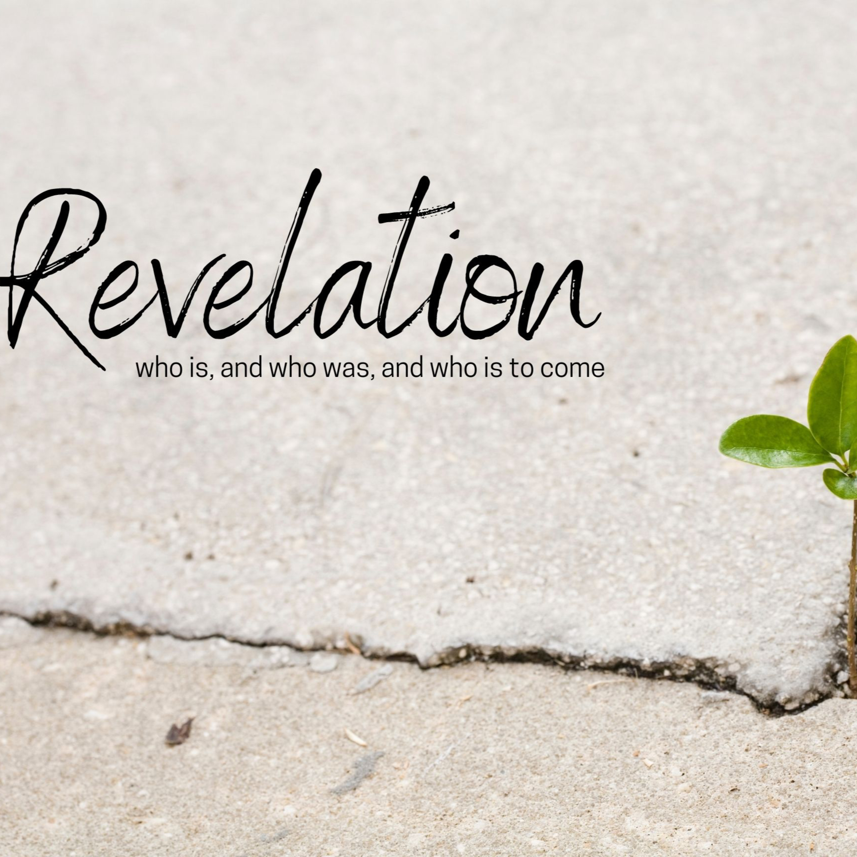 Followers of the Lamb || Revelation episode artwork