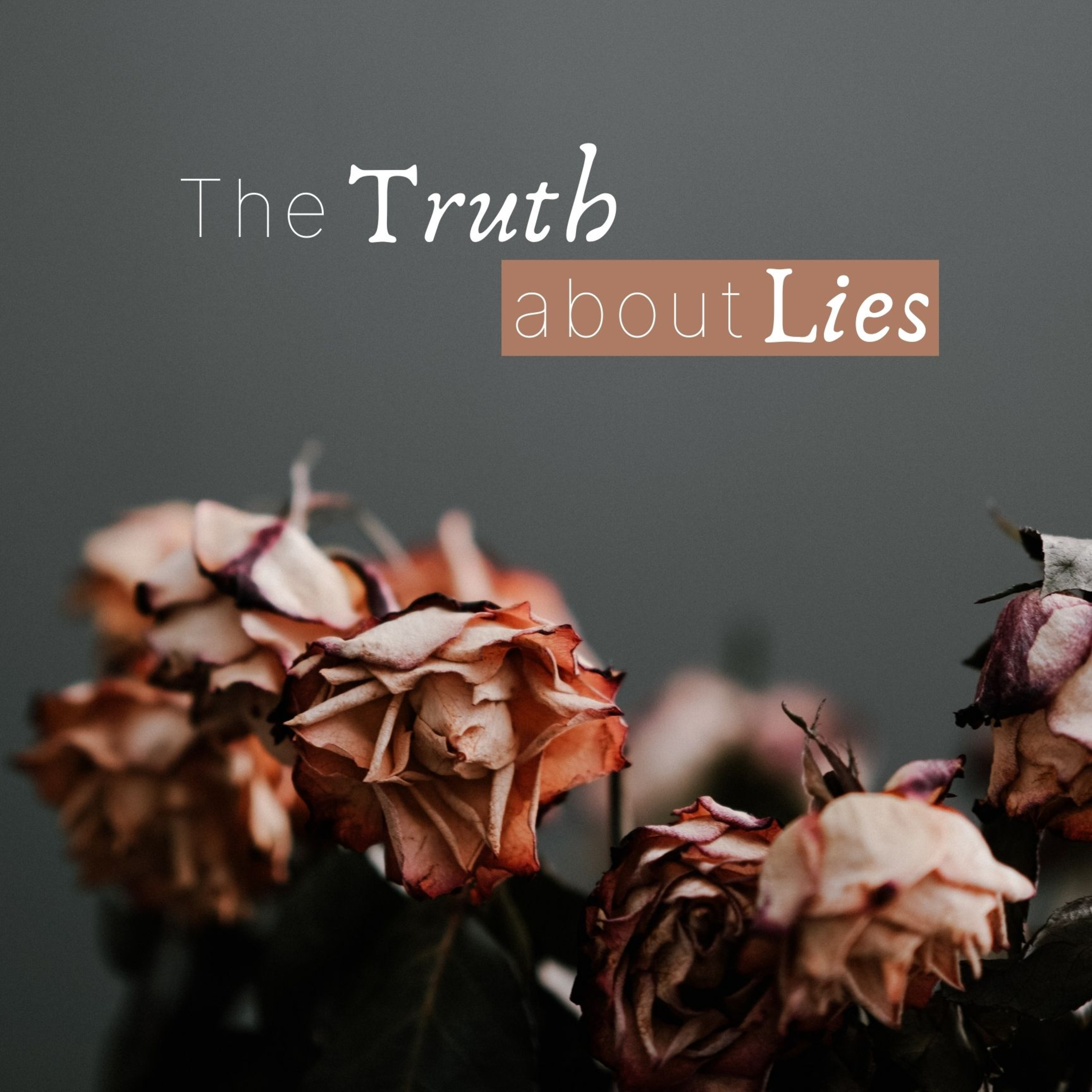 The Truth Will Set You Free || The Truth About Lies episode artwork