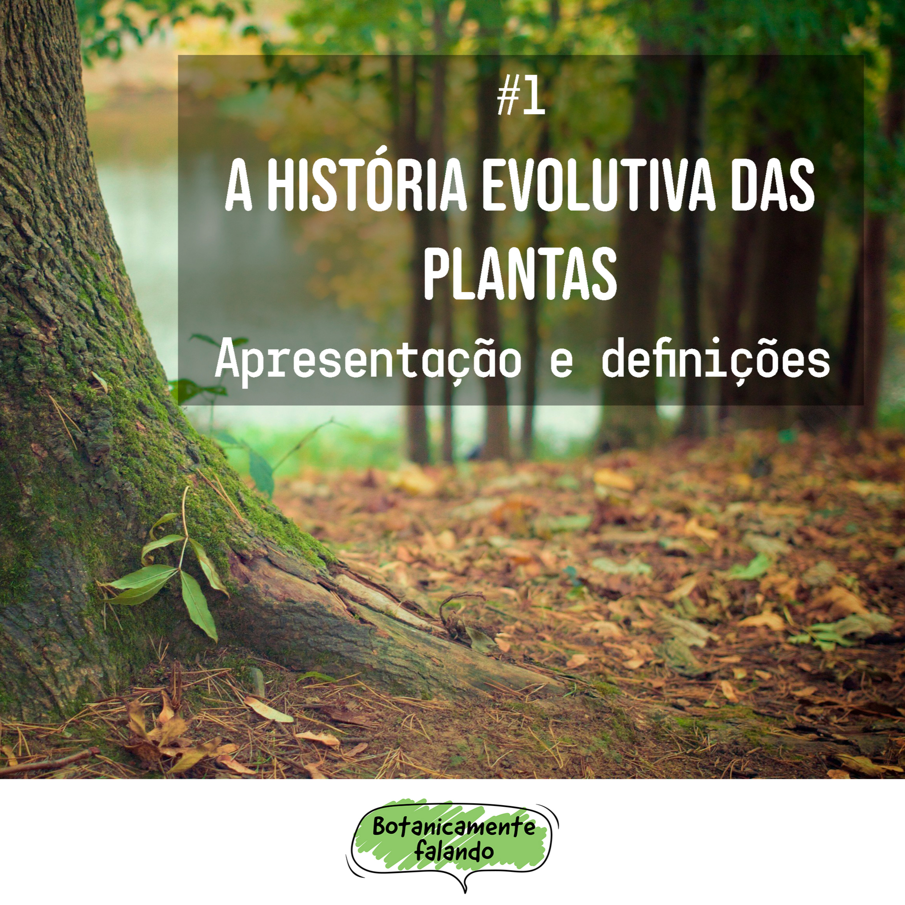 Botanicamente falando