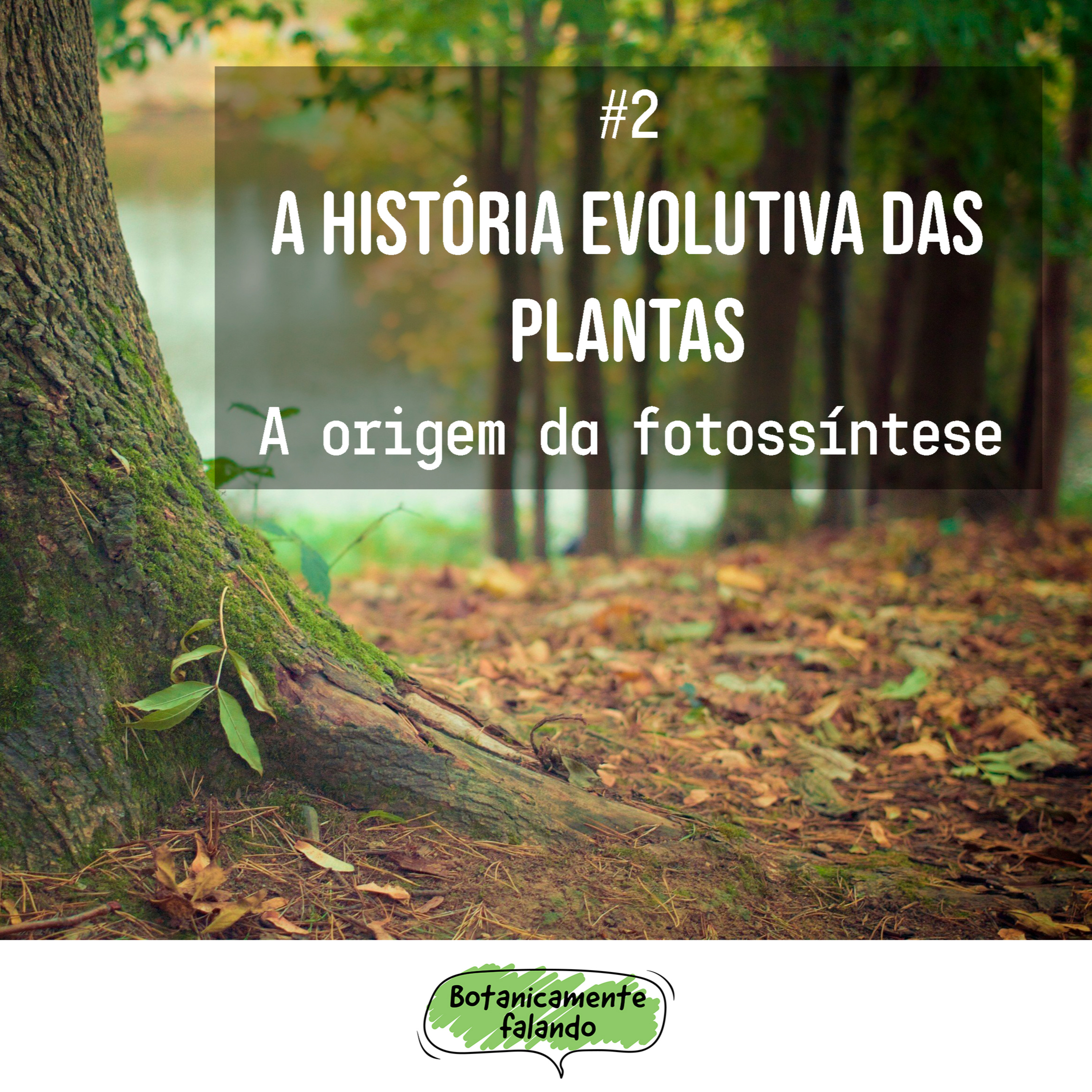 Botanicamente falando