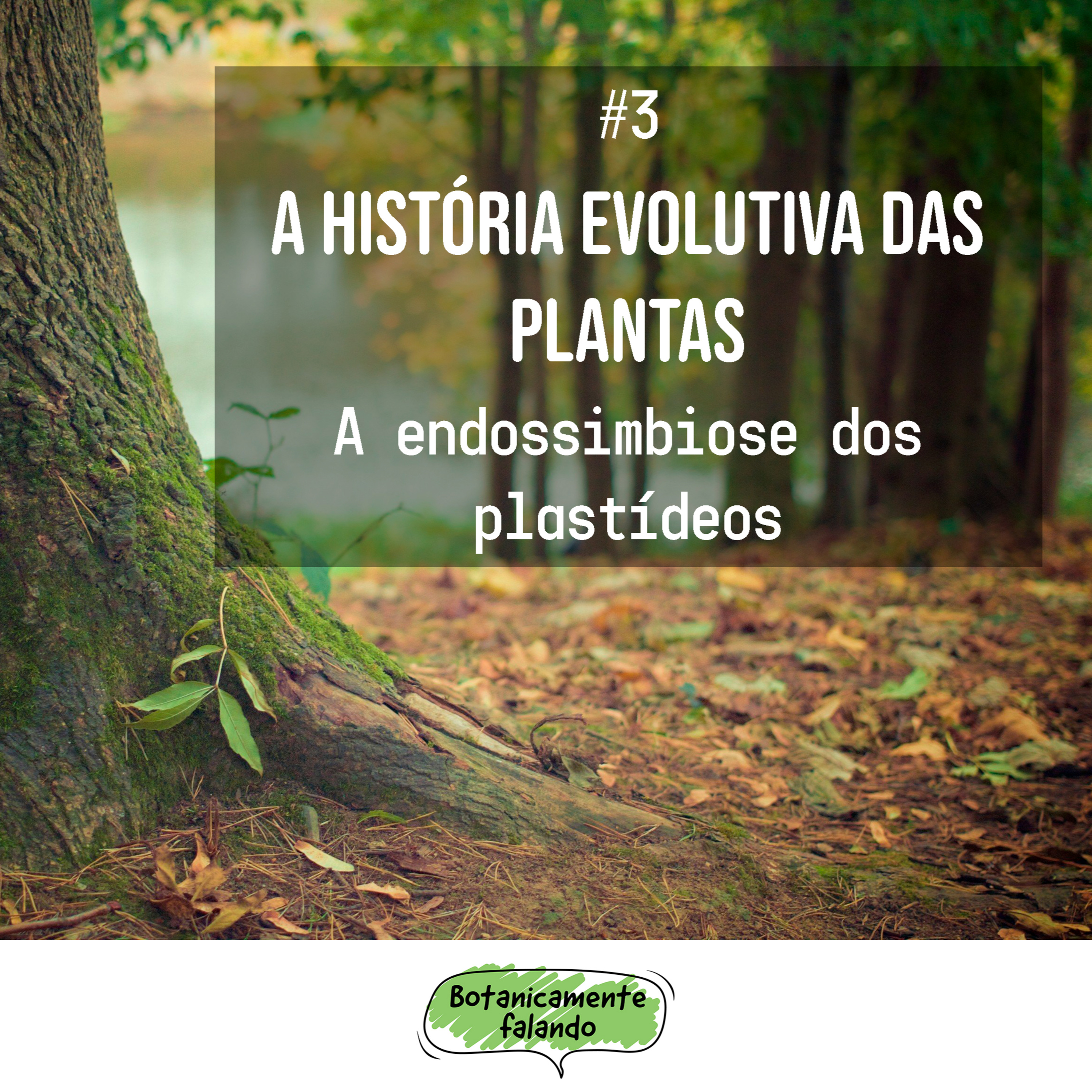 Botanicamente falando