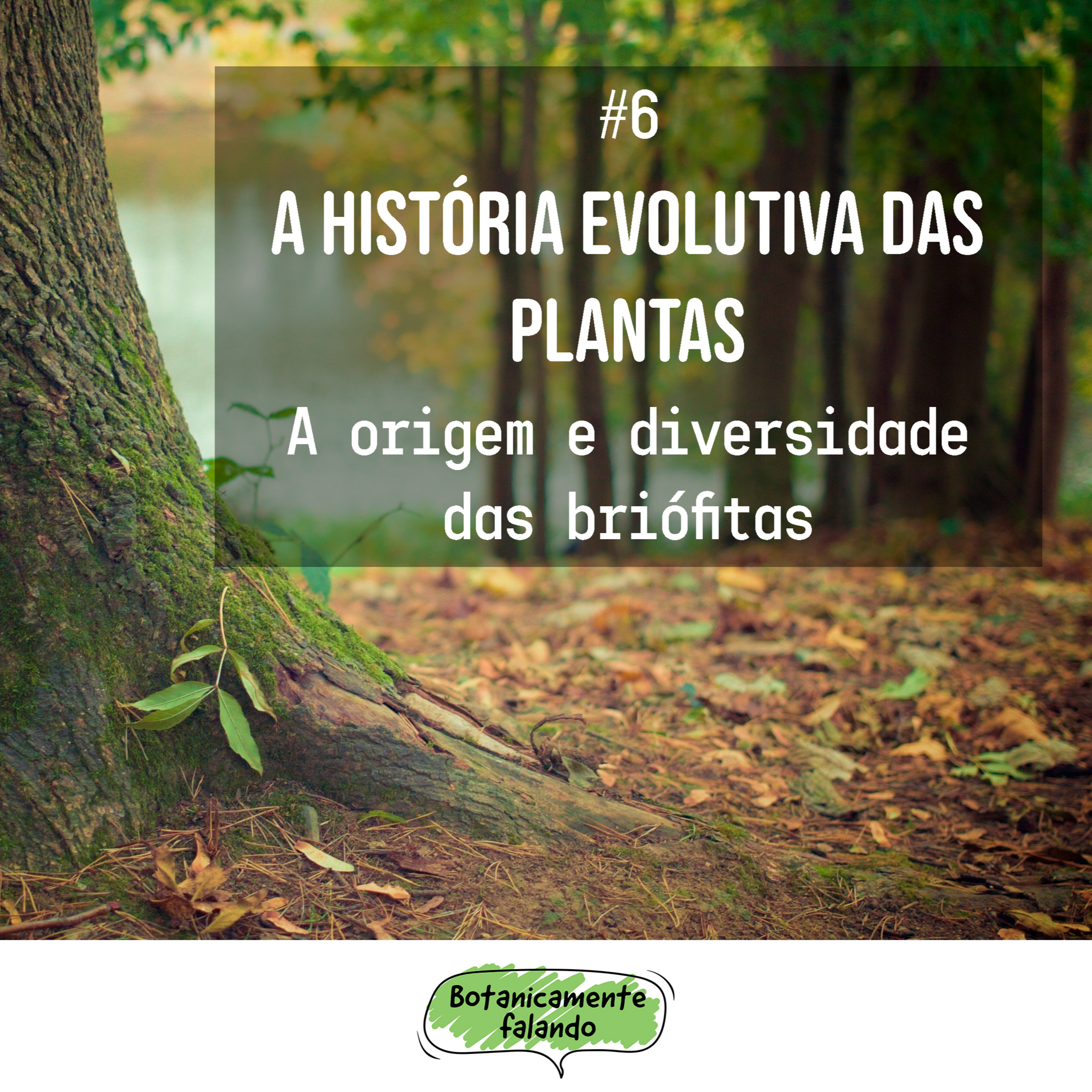 Botanicamente falando
