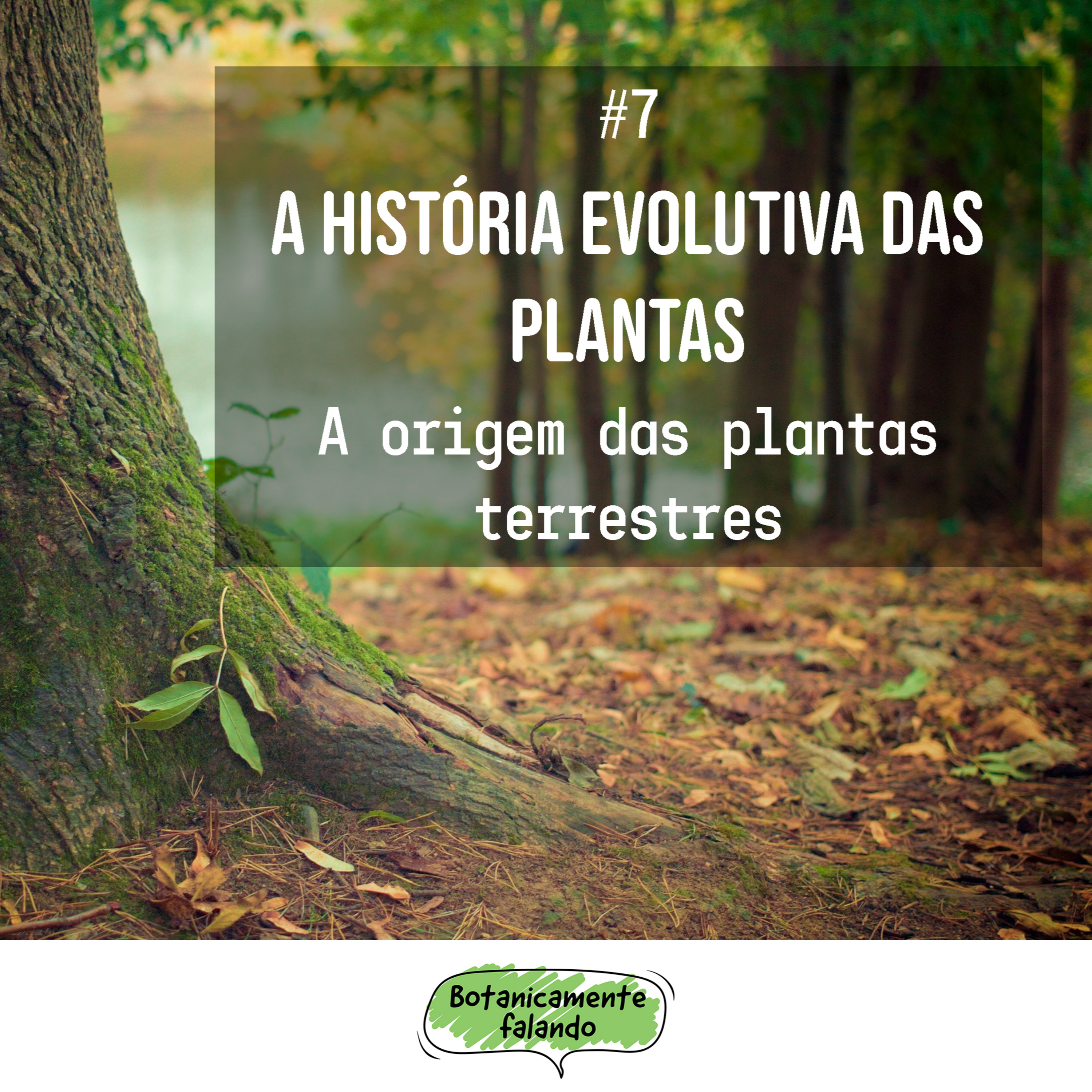 Botanicamente falando