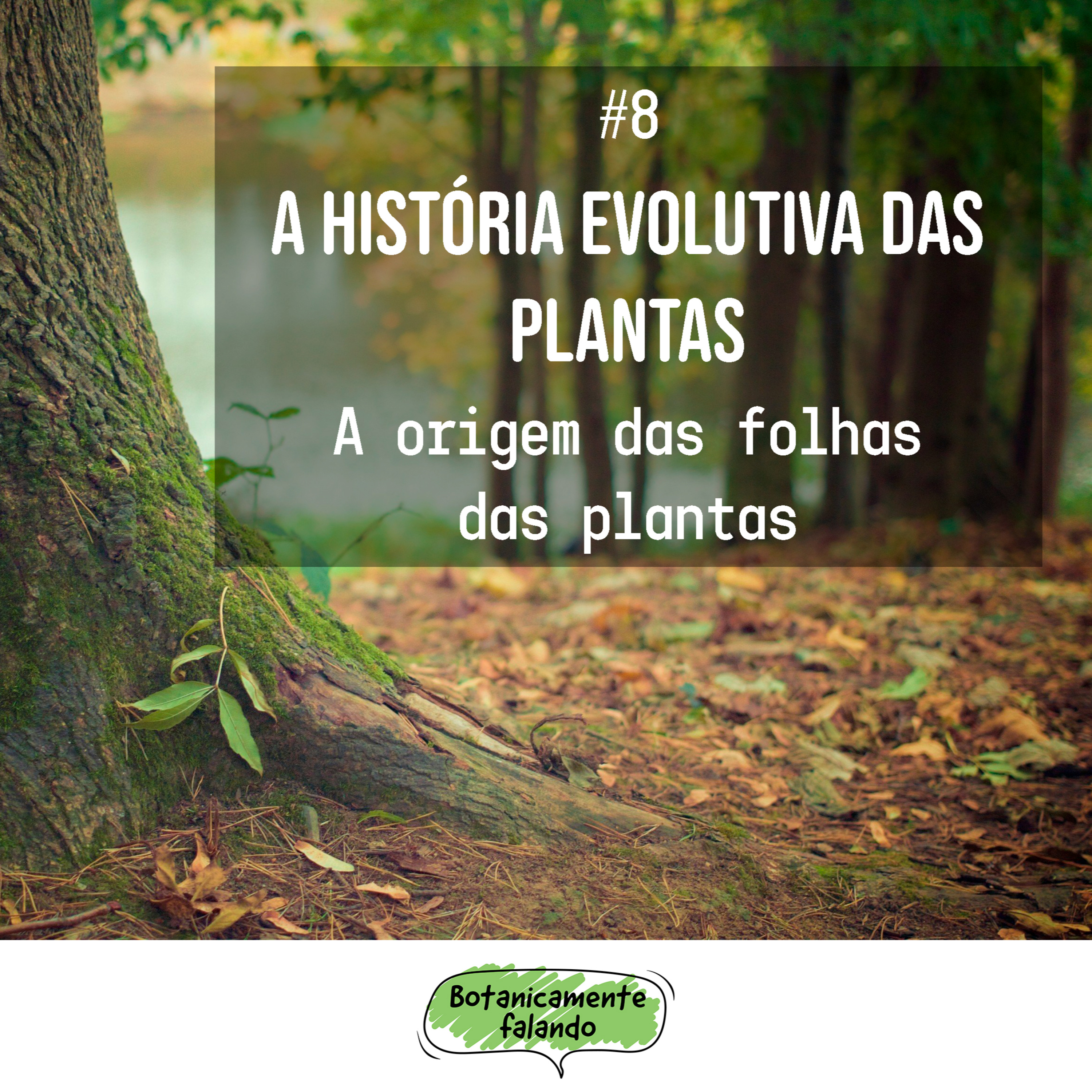 Botanicamente falando