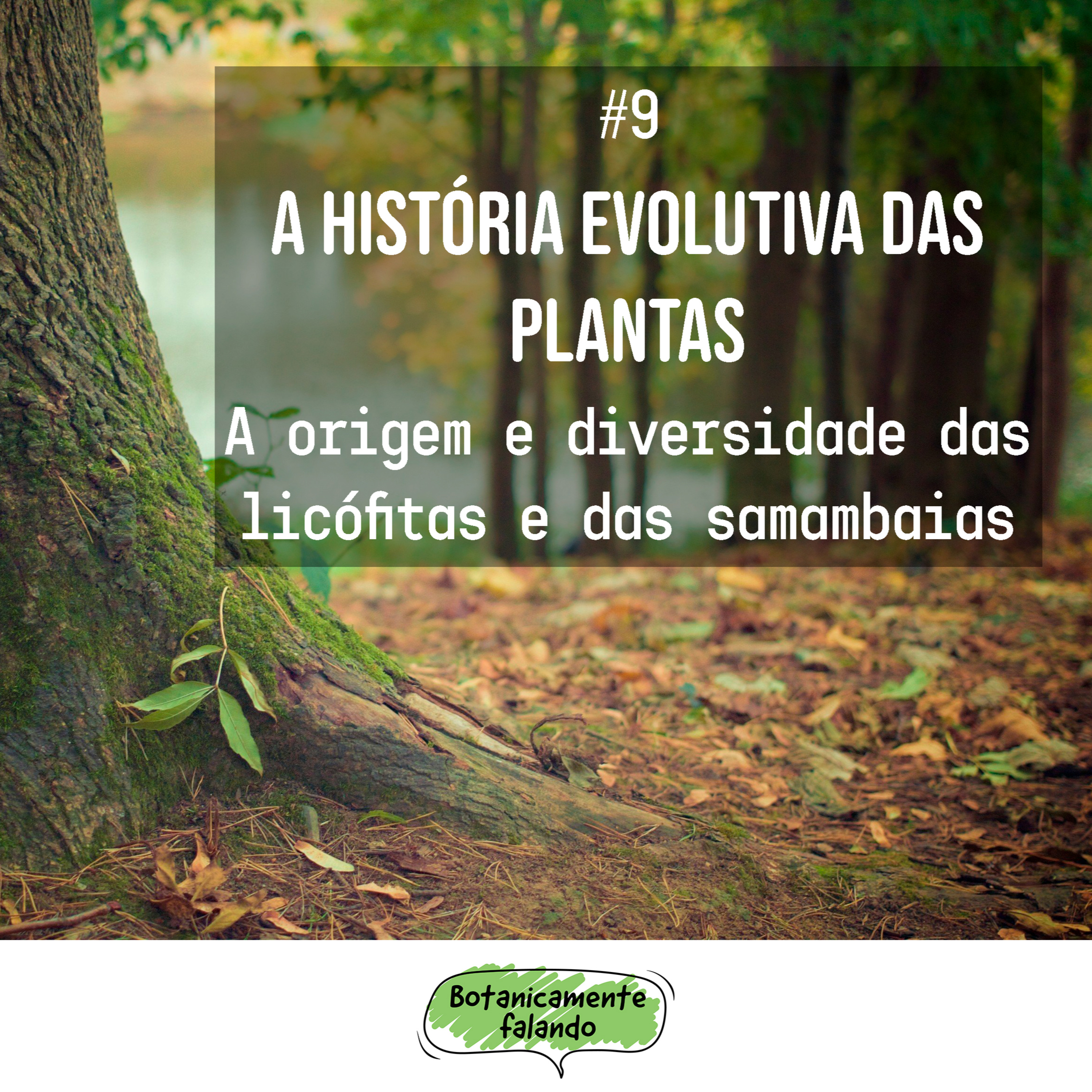Botanicamente falando