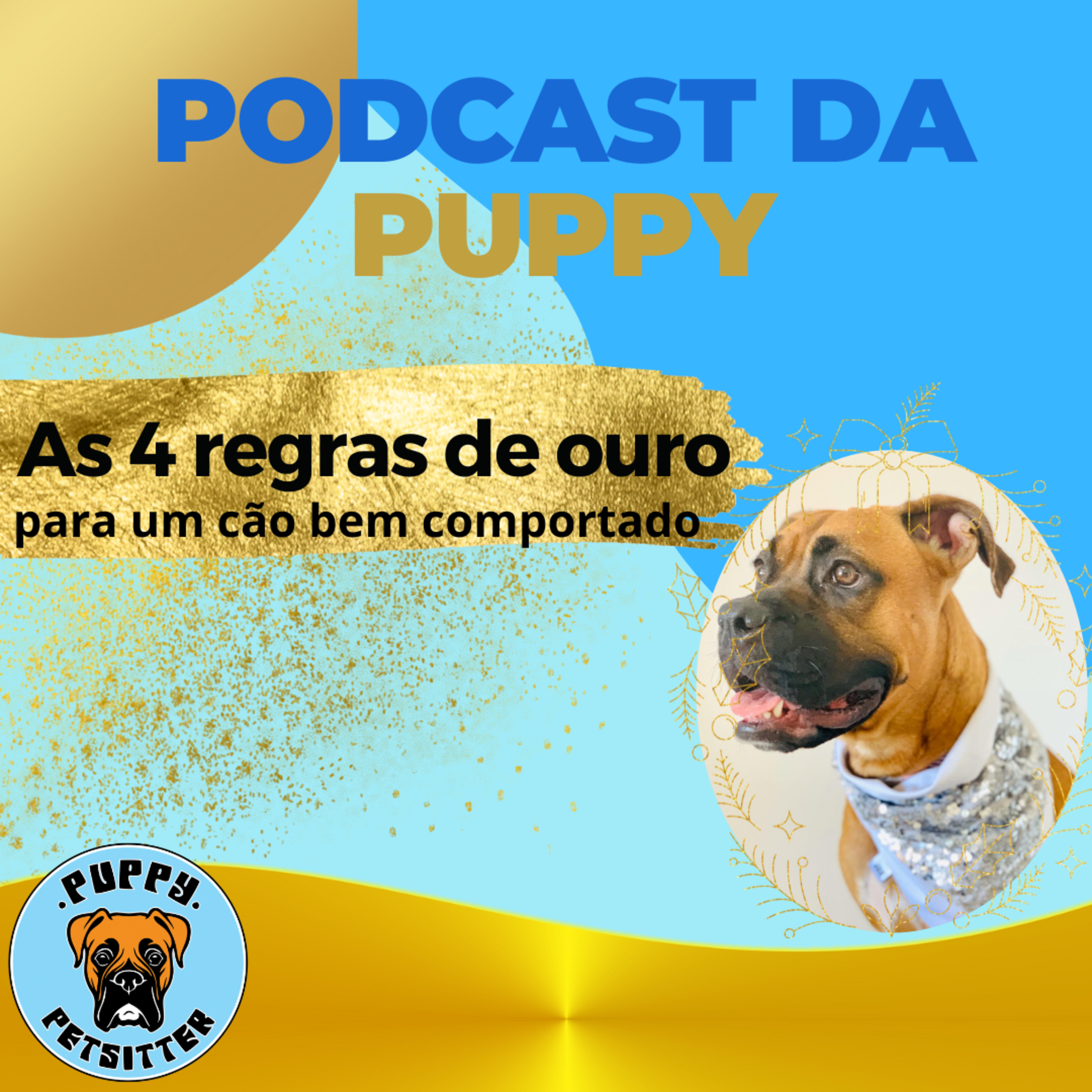 Ep. 008 - As 4 regras de ouro para um cão bem comportado