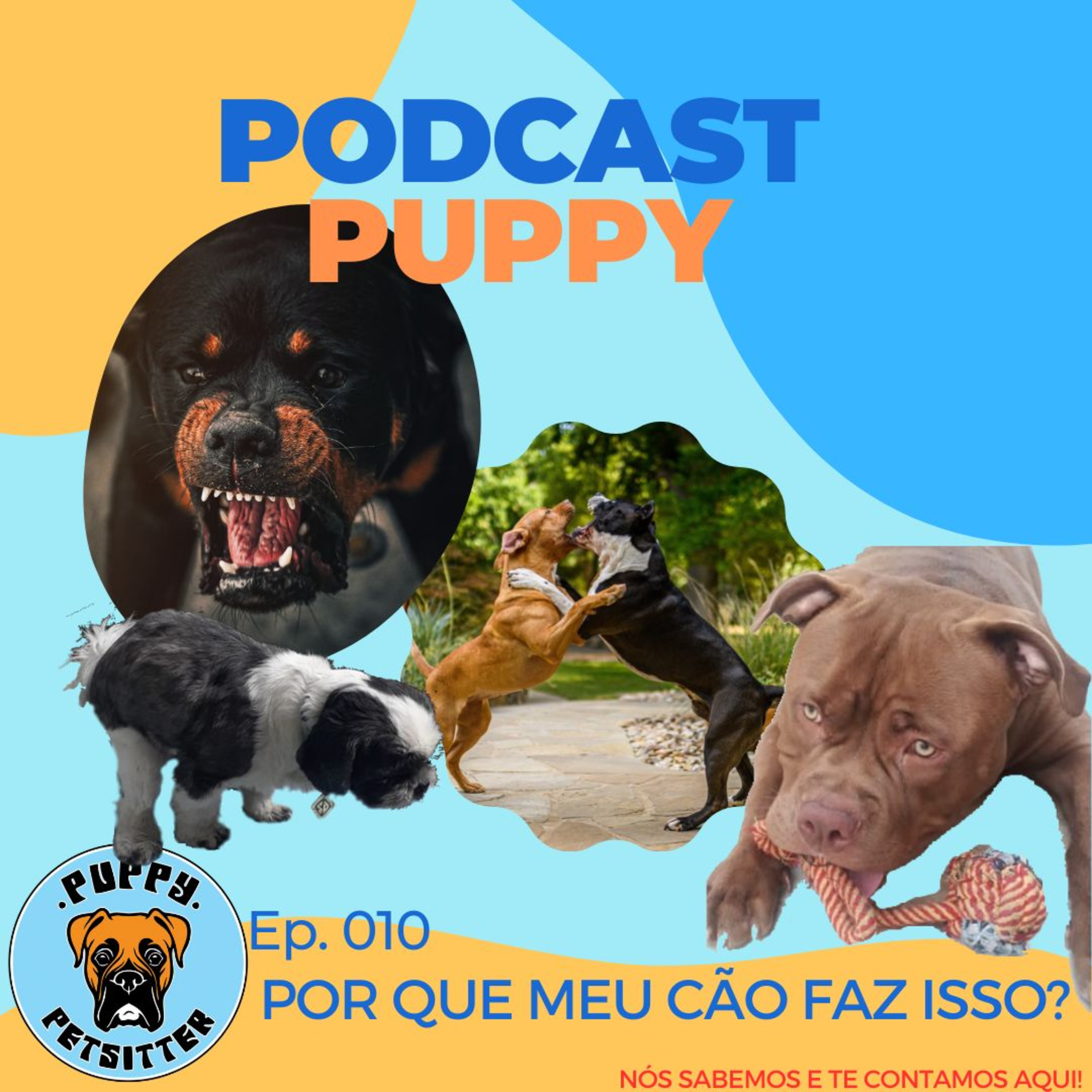 Ep. 010 - Por que meu cão faz isso? episode artwork