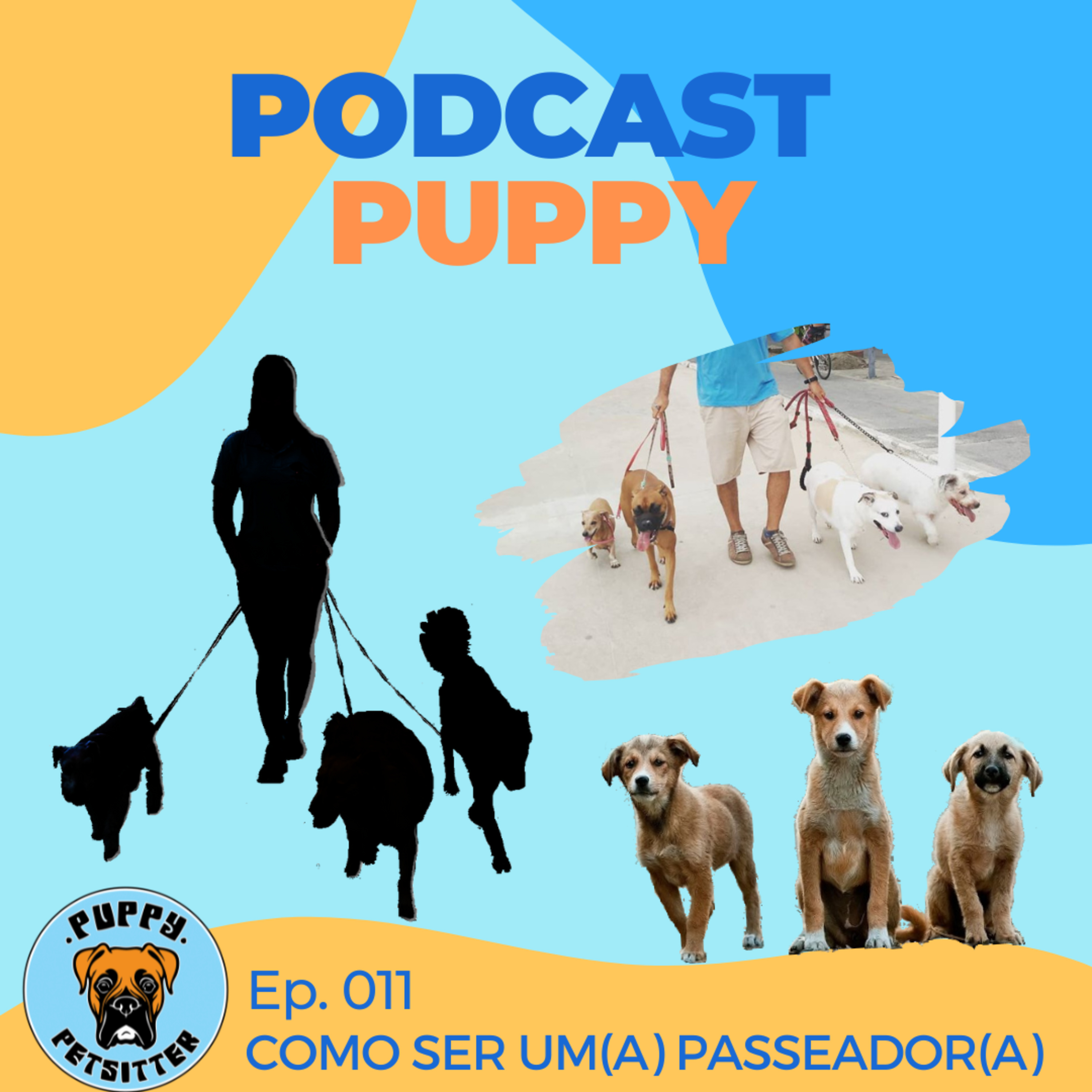 Como ser dog walker episode artwork