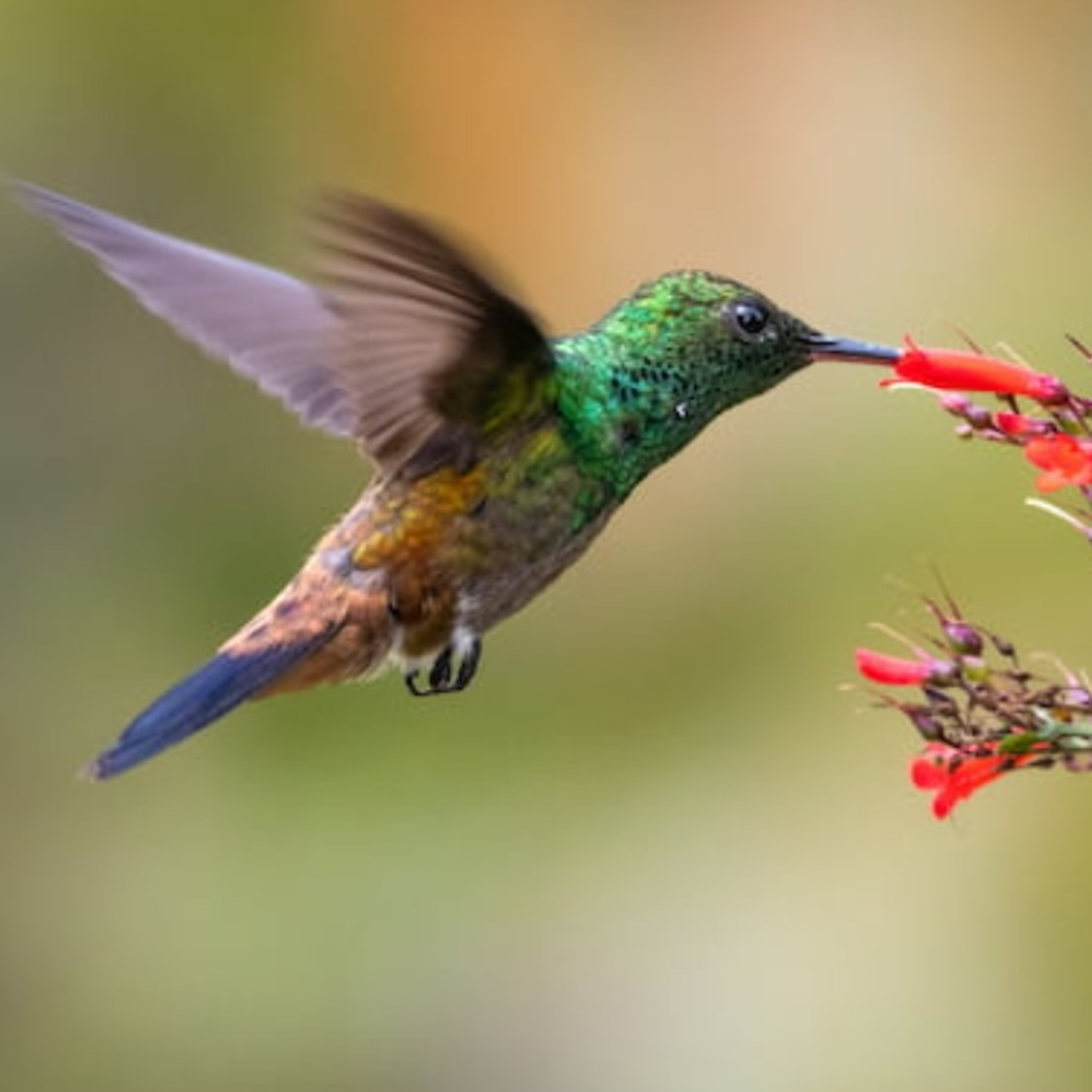 Have the Right Philosohy That I Am in which always is