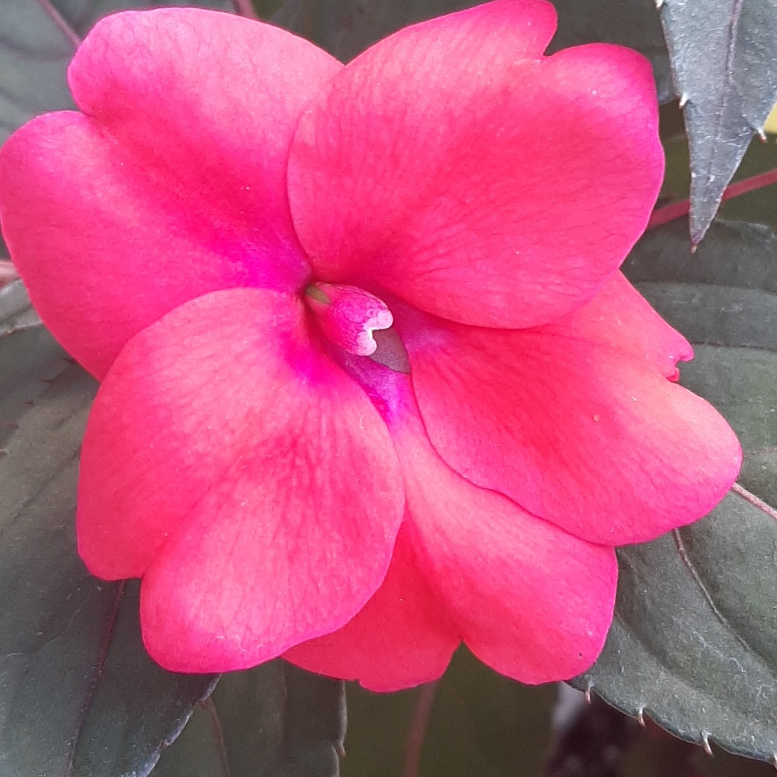 We are here, where you?