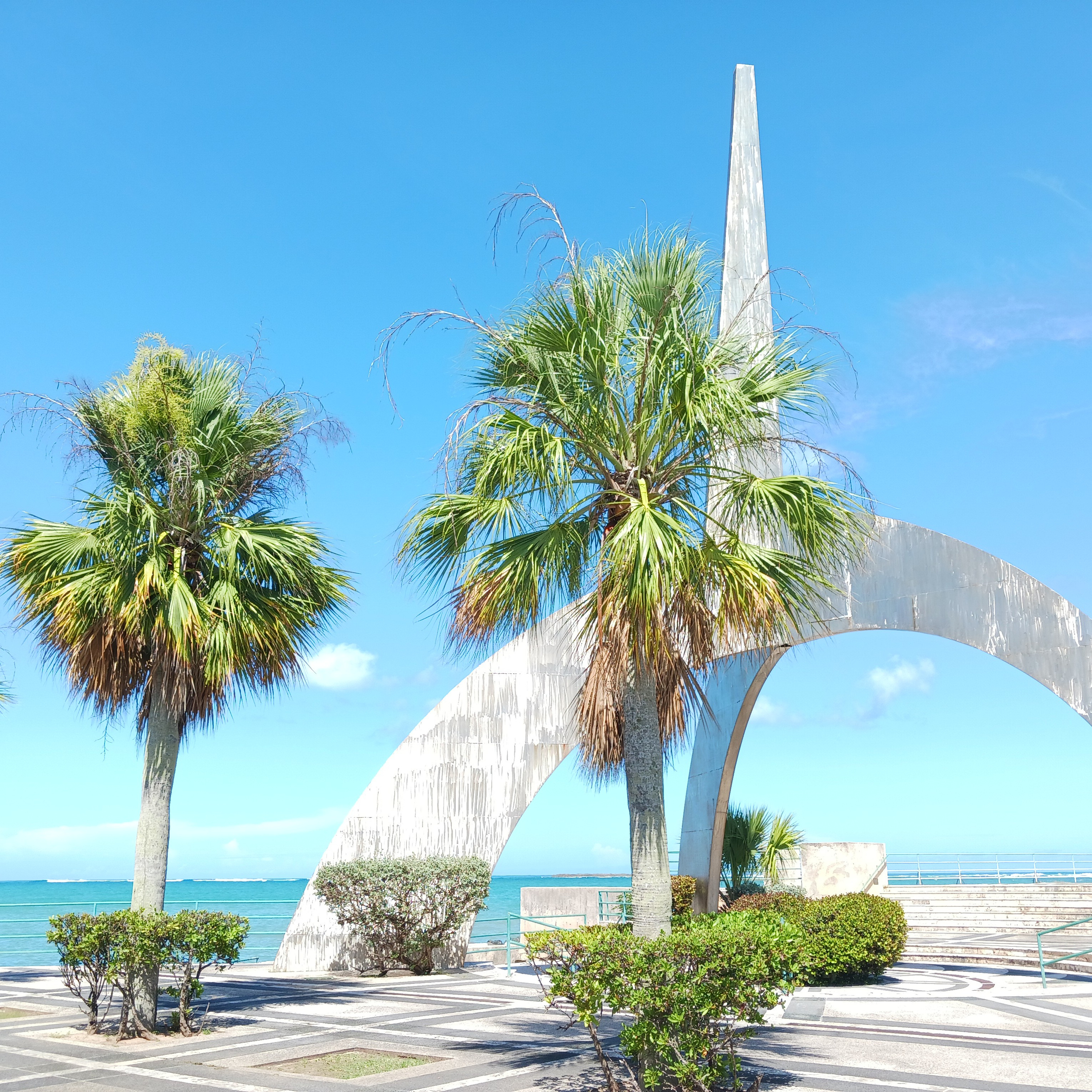 Yaakov Intuitive Healing Sessions Call 787 979 9938