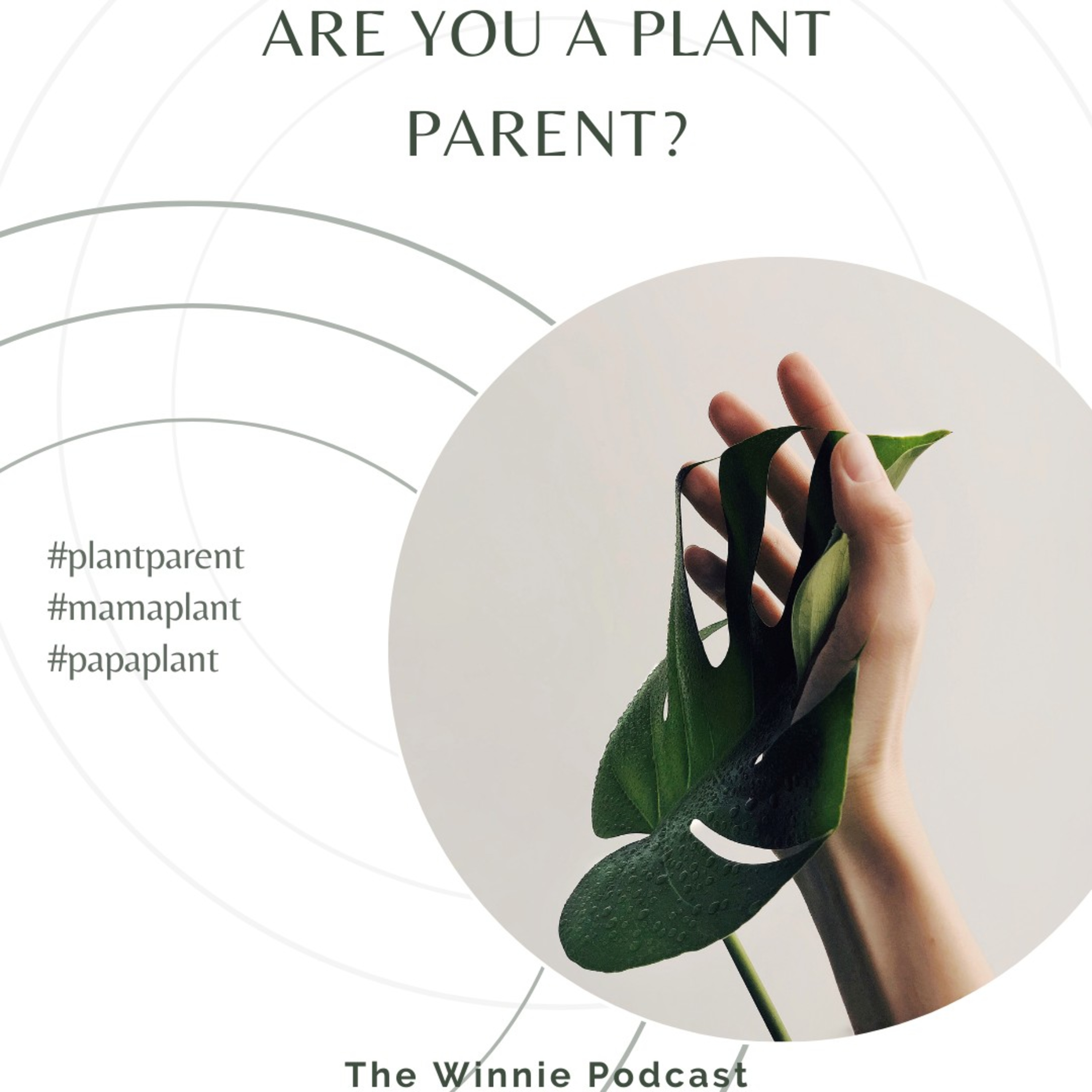 The Winnie Podcast