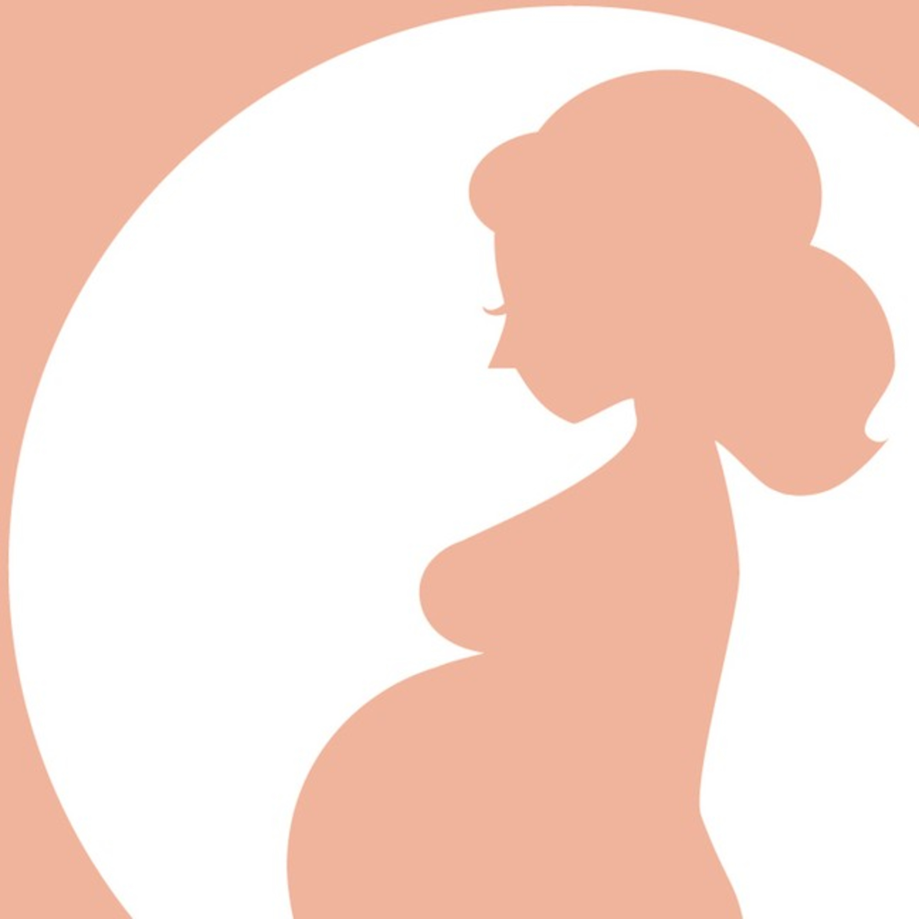 Quais as hipóteses que autorizam o Aborto Legal? episode artwork