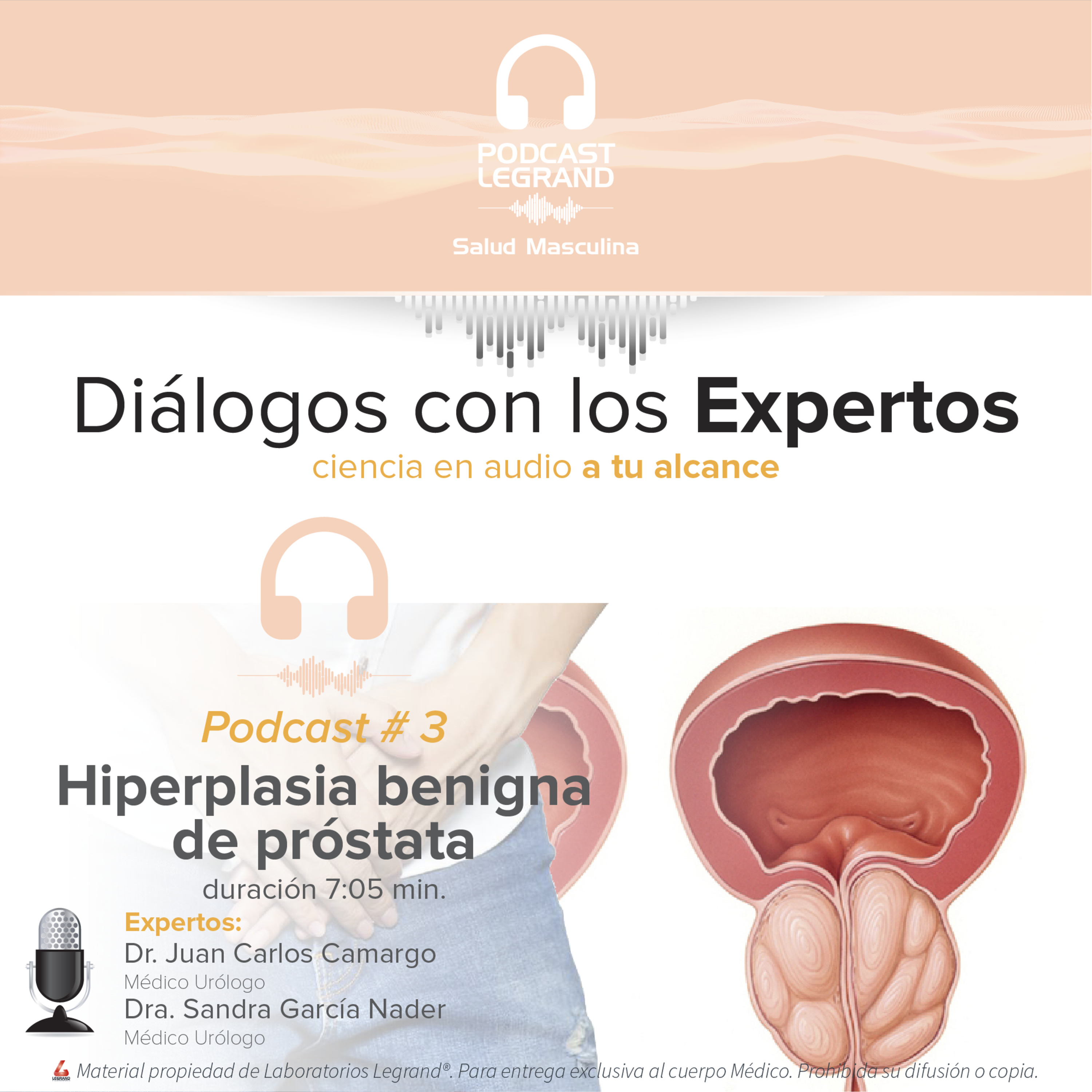 Portada de Diálogos con los expertos Legrand