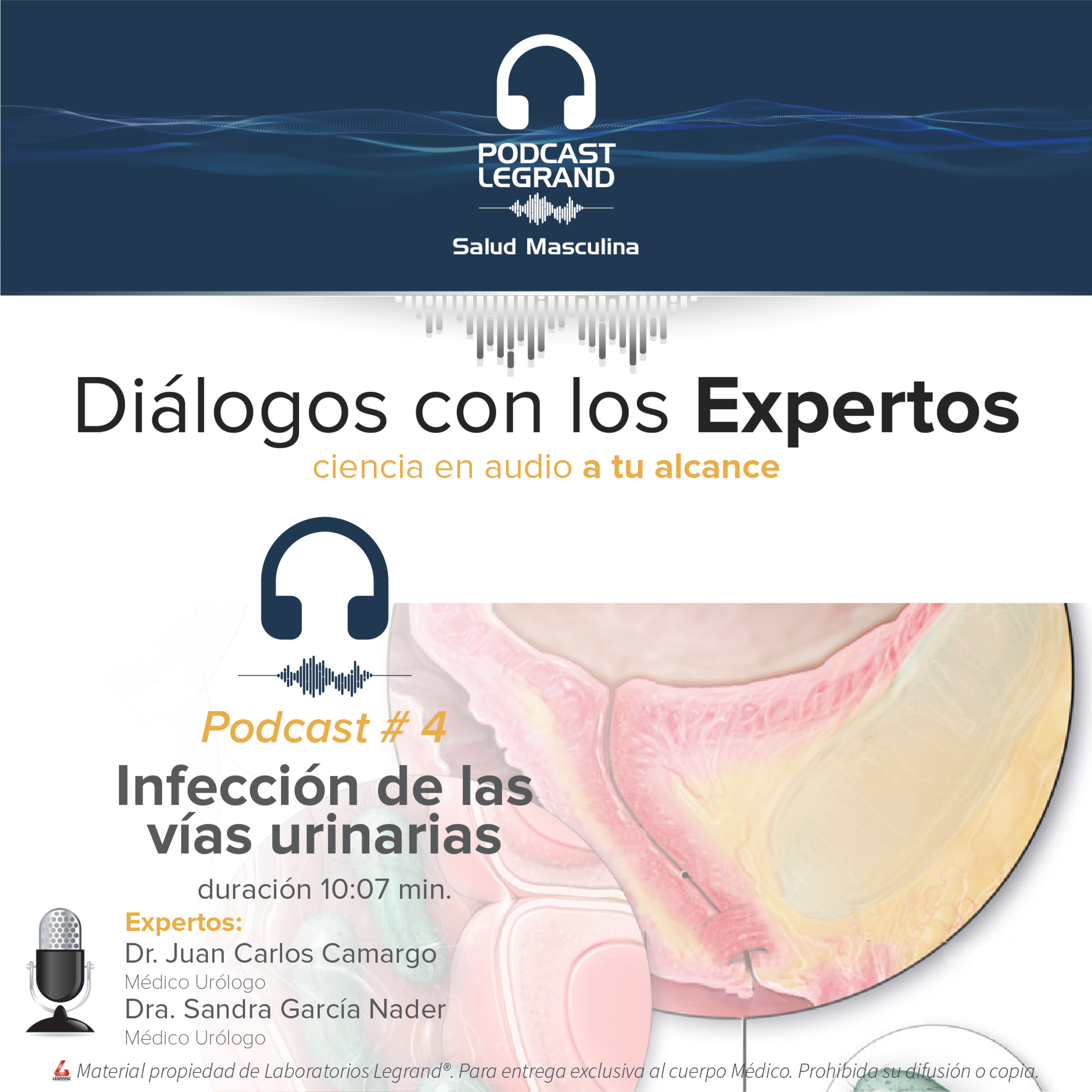Portada de Diálogos con los expertos Legrand