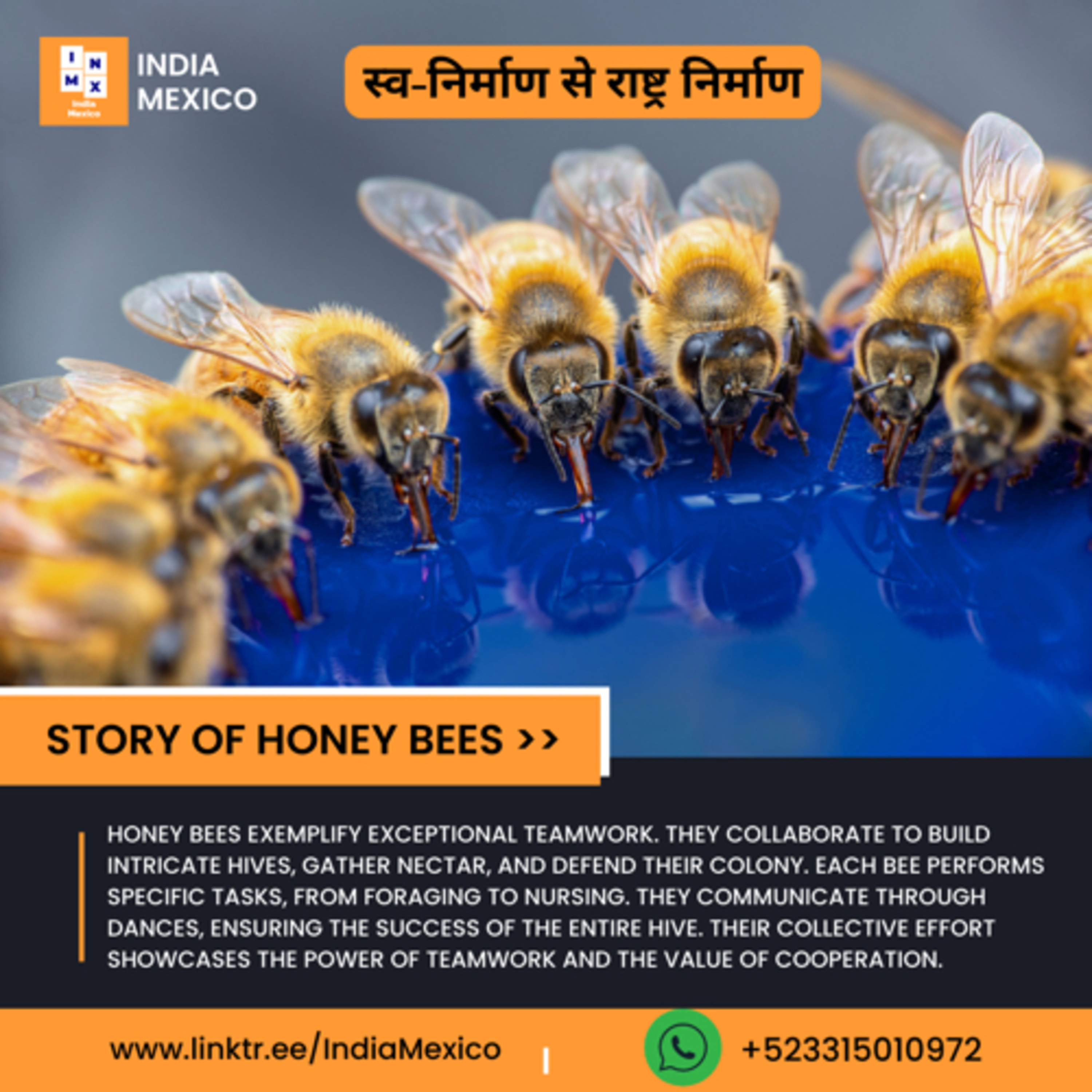 Story of Honey Bee and House Fly… episode artwork