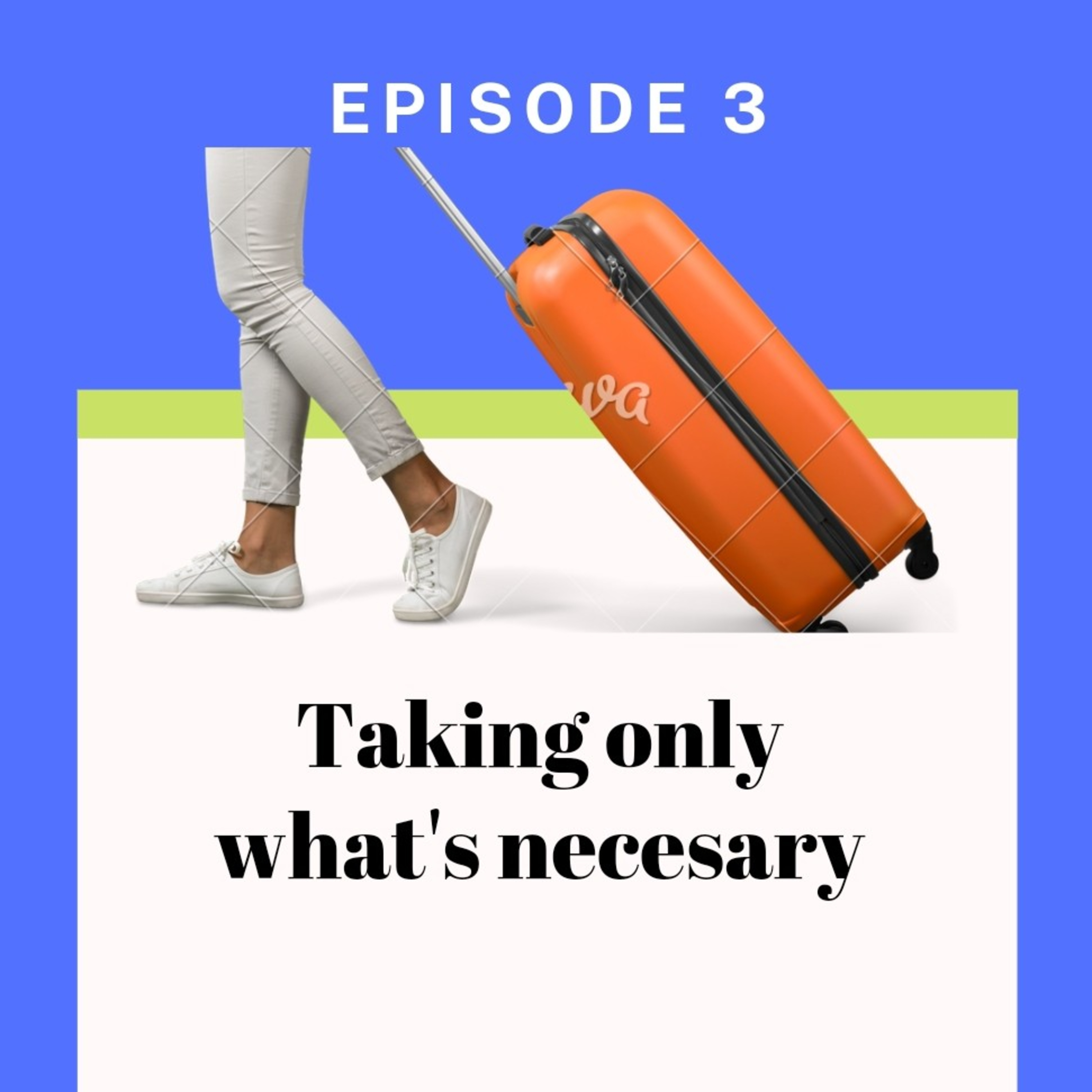 Taking only What is necessary episode artwork