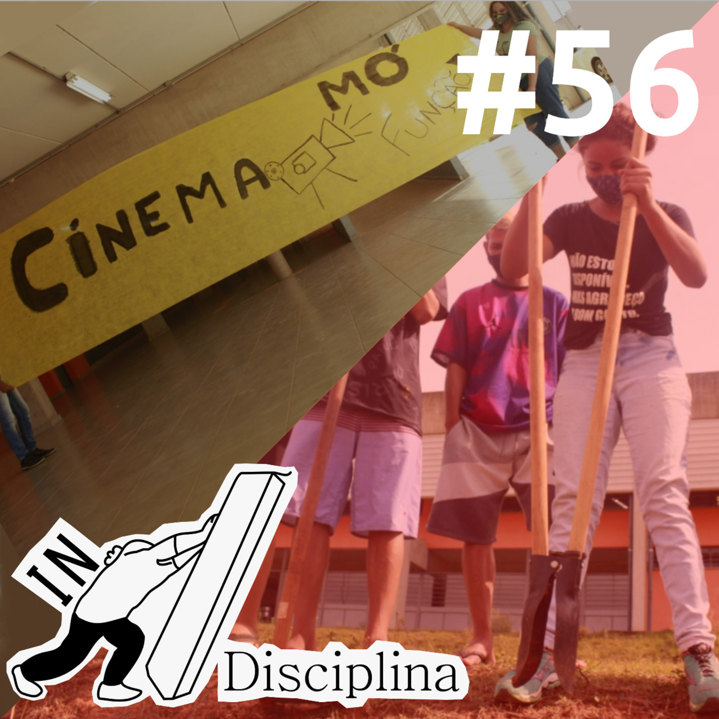 Indisciplina