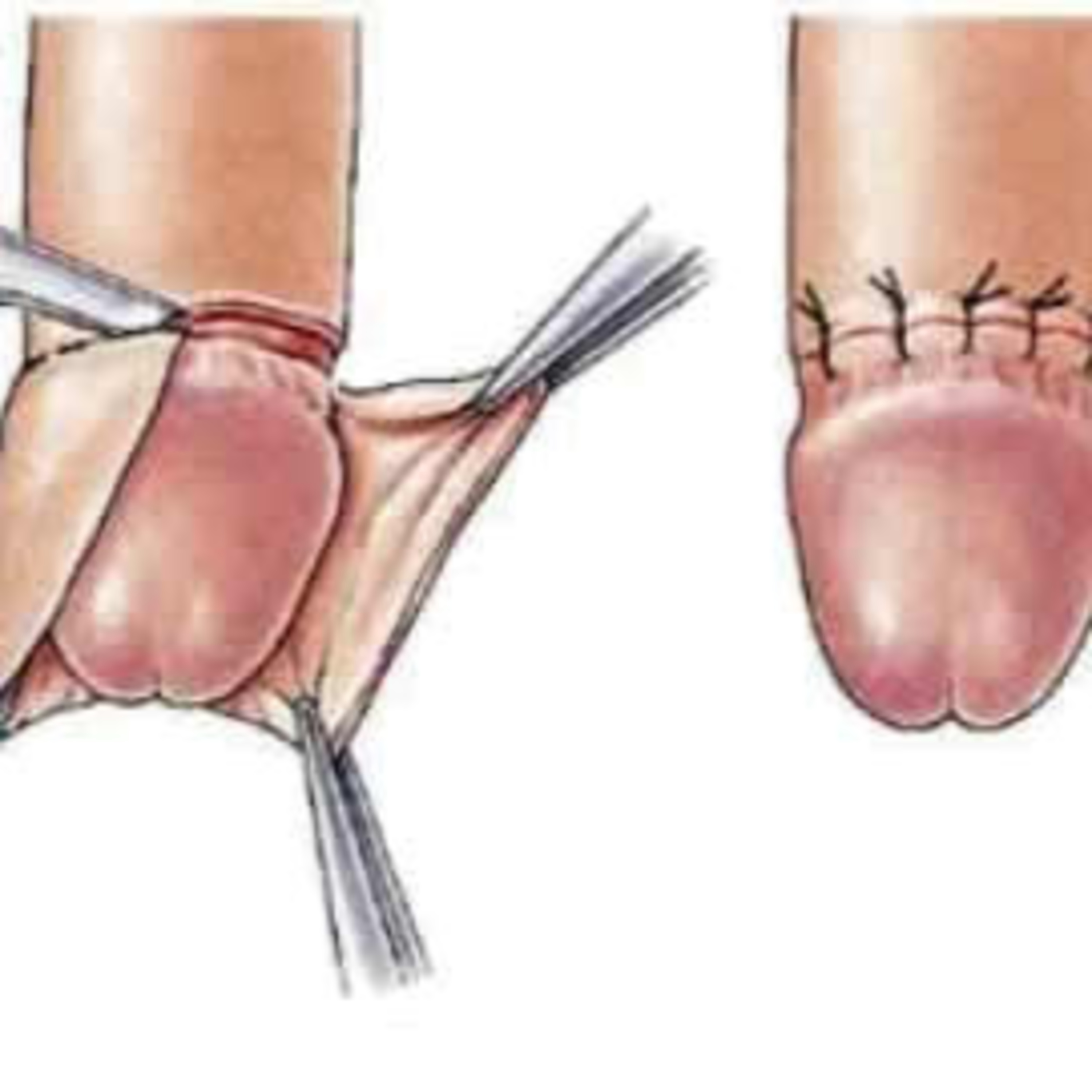 Faze Tari cu George Anton Comediant